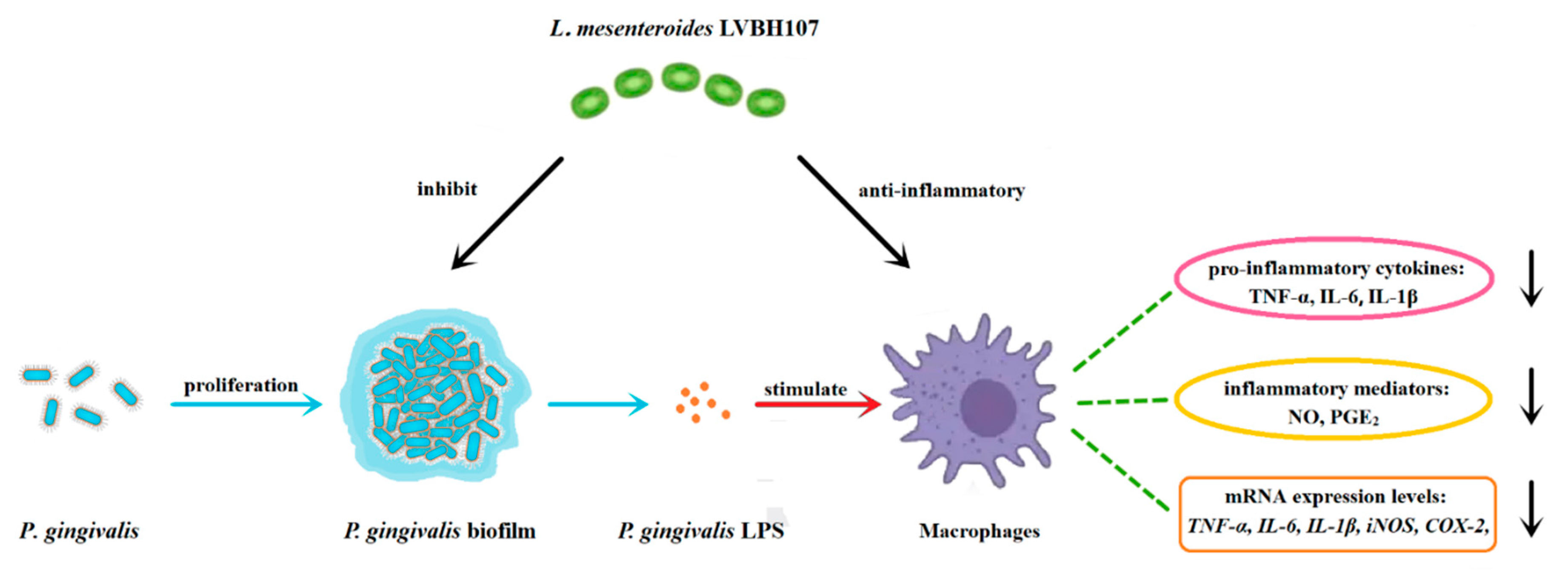 Nutrients 14 02584 g007