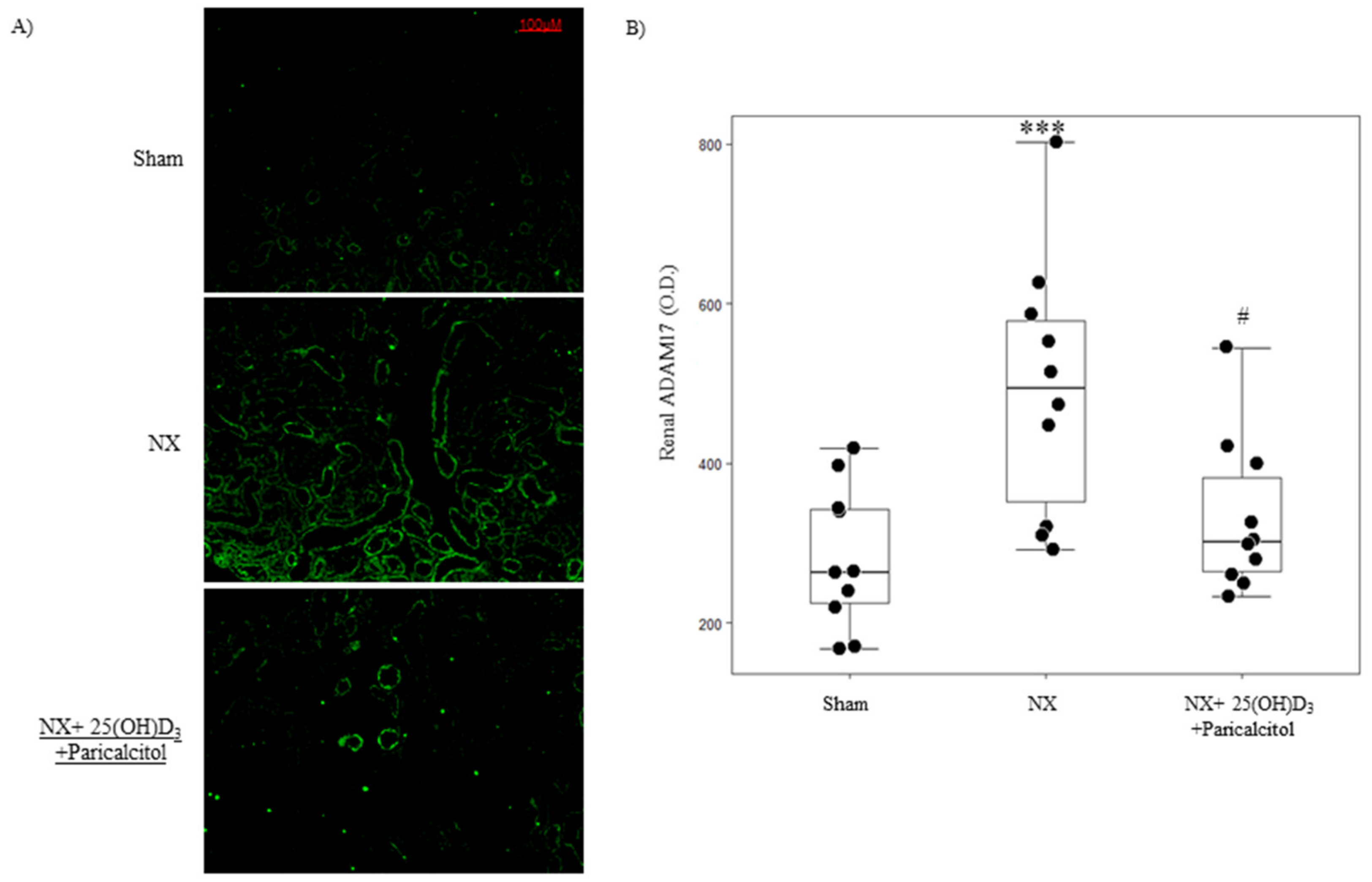 Nutrients 14 02589 g001 Nutrients 14 02589 g001
