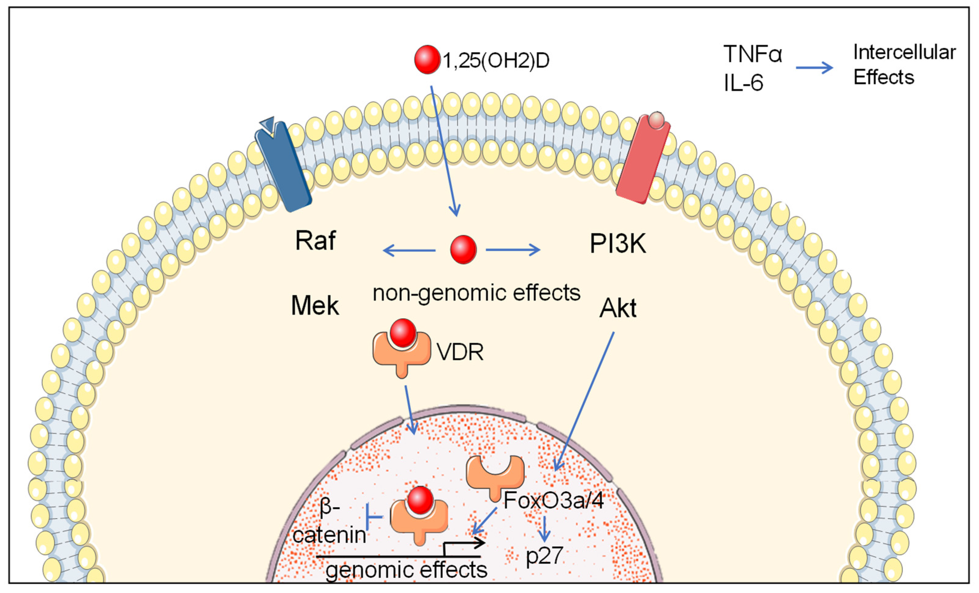 Nutrients 14 02593 g001