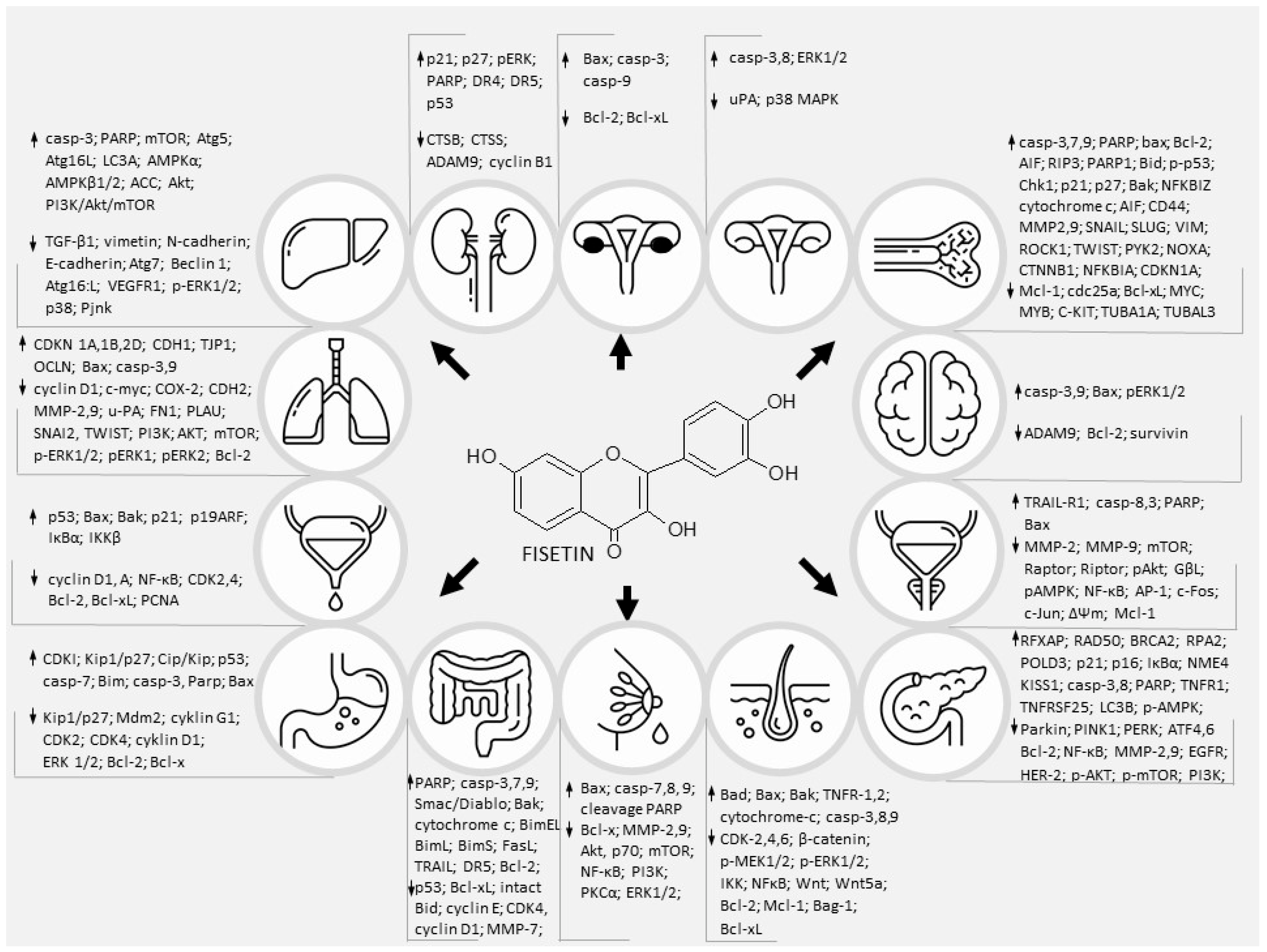 Nutrients 14 02604 g003