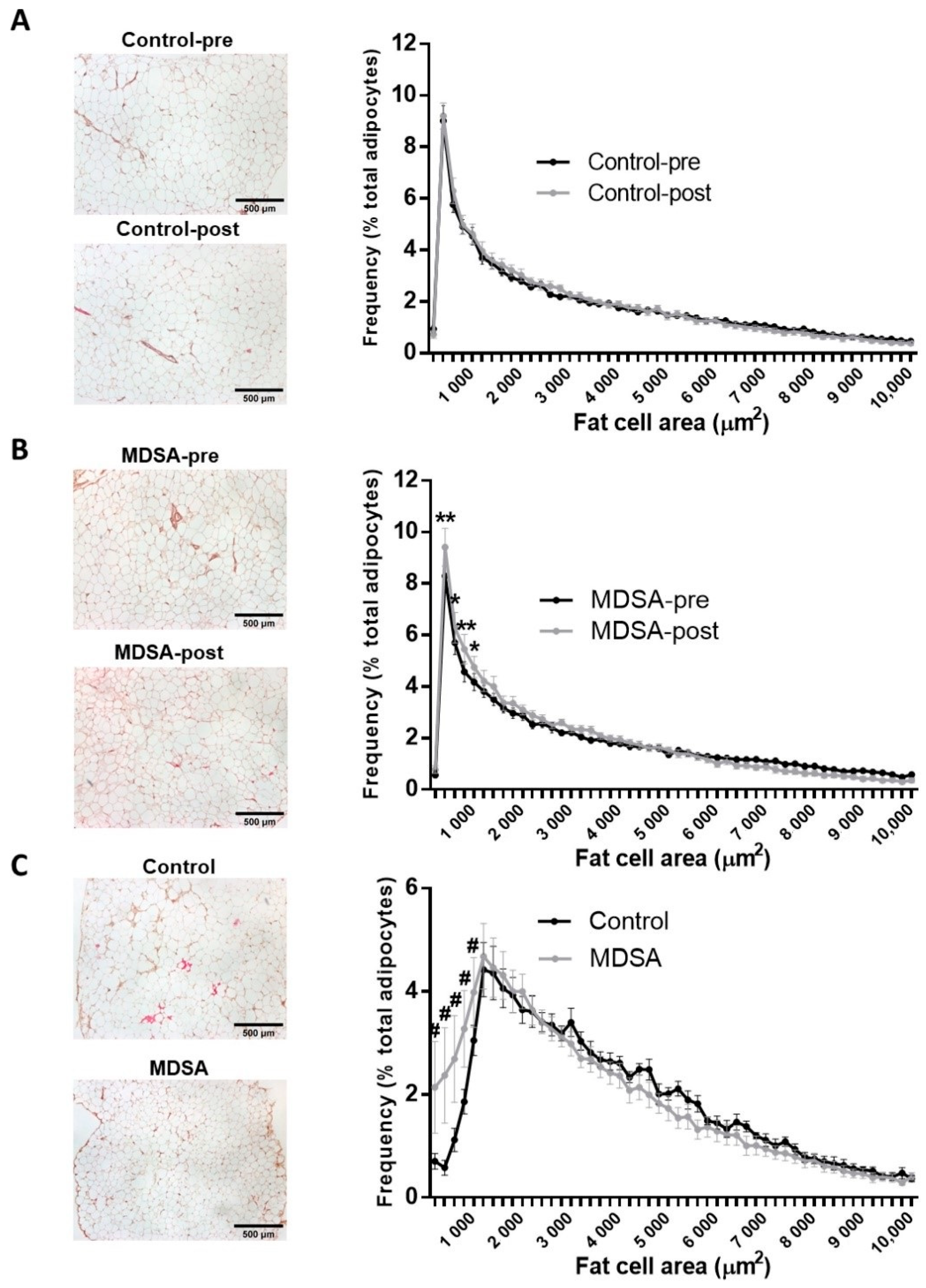 Nutrients 14 02617 g001 Nutrients 14 02617 g001