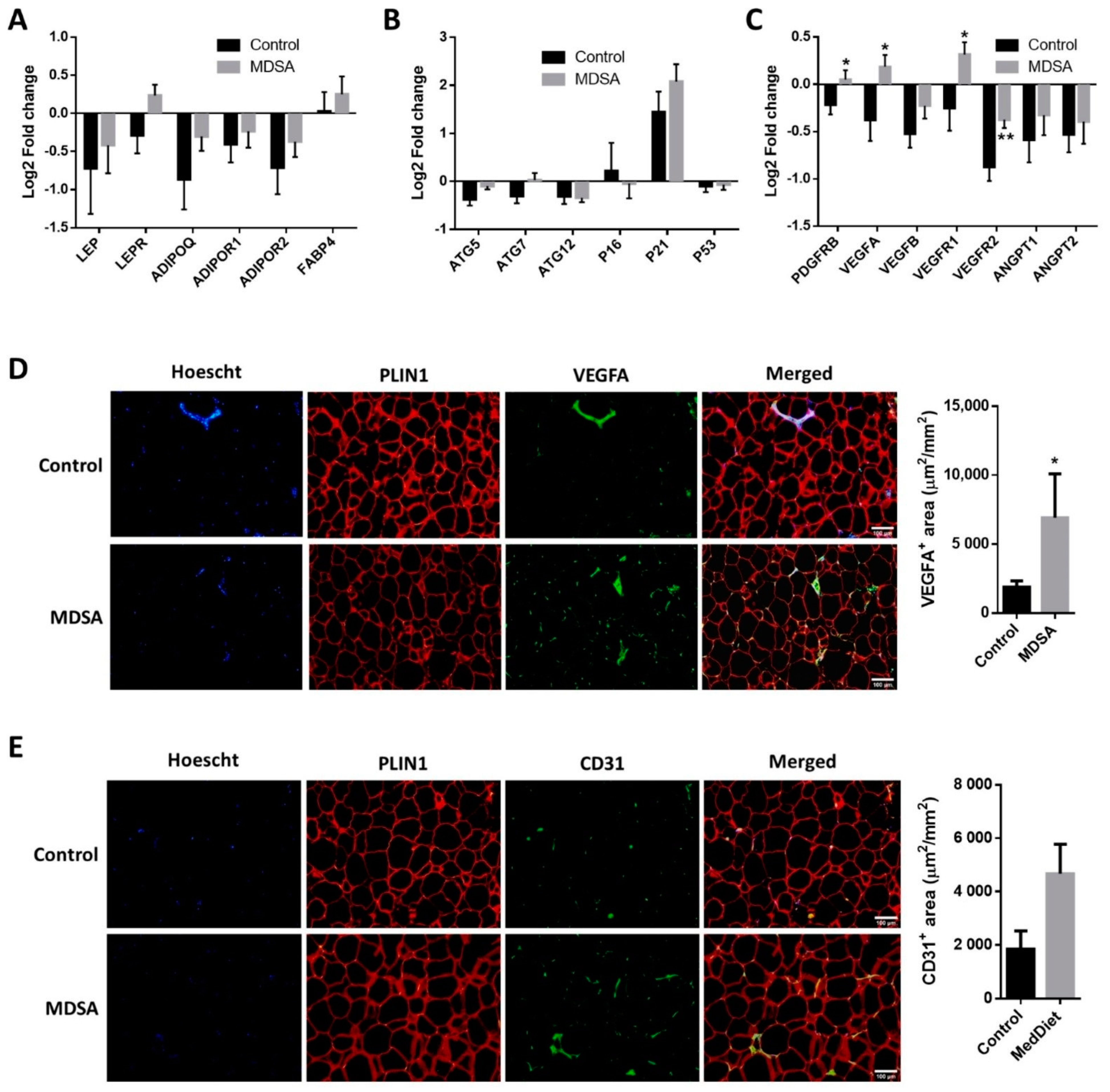 Nutrients 14 02617 g002 Nutrients 14 02617 g002