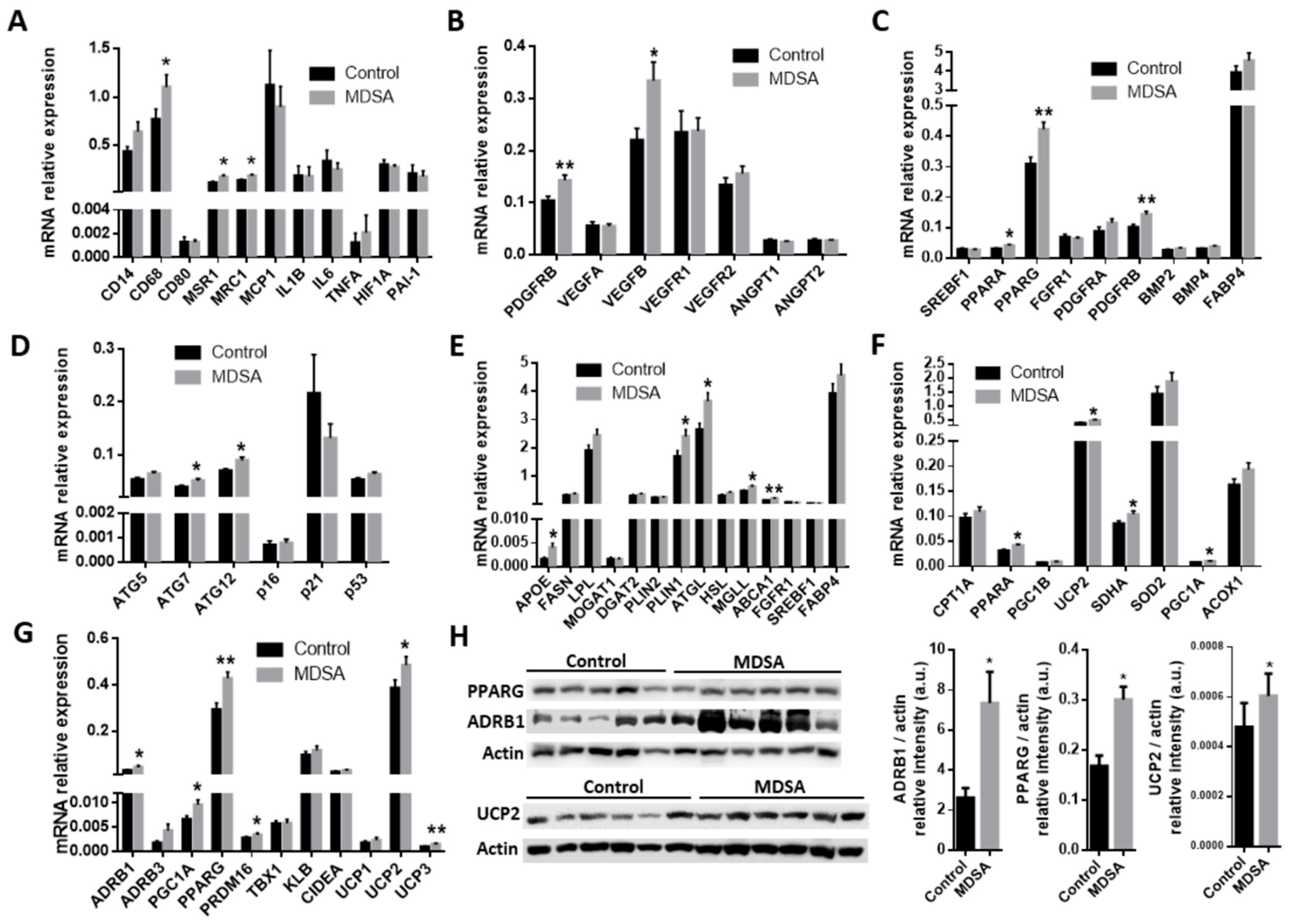 Nutrients 14 02617 g003 Nutrients 14 02617 g003