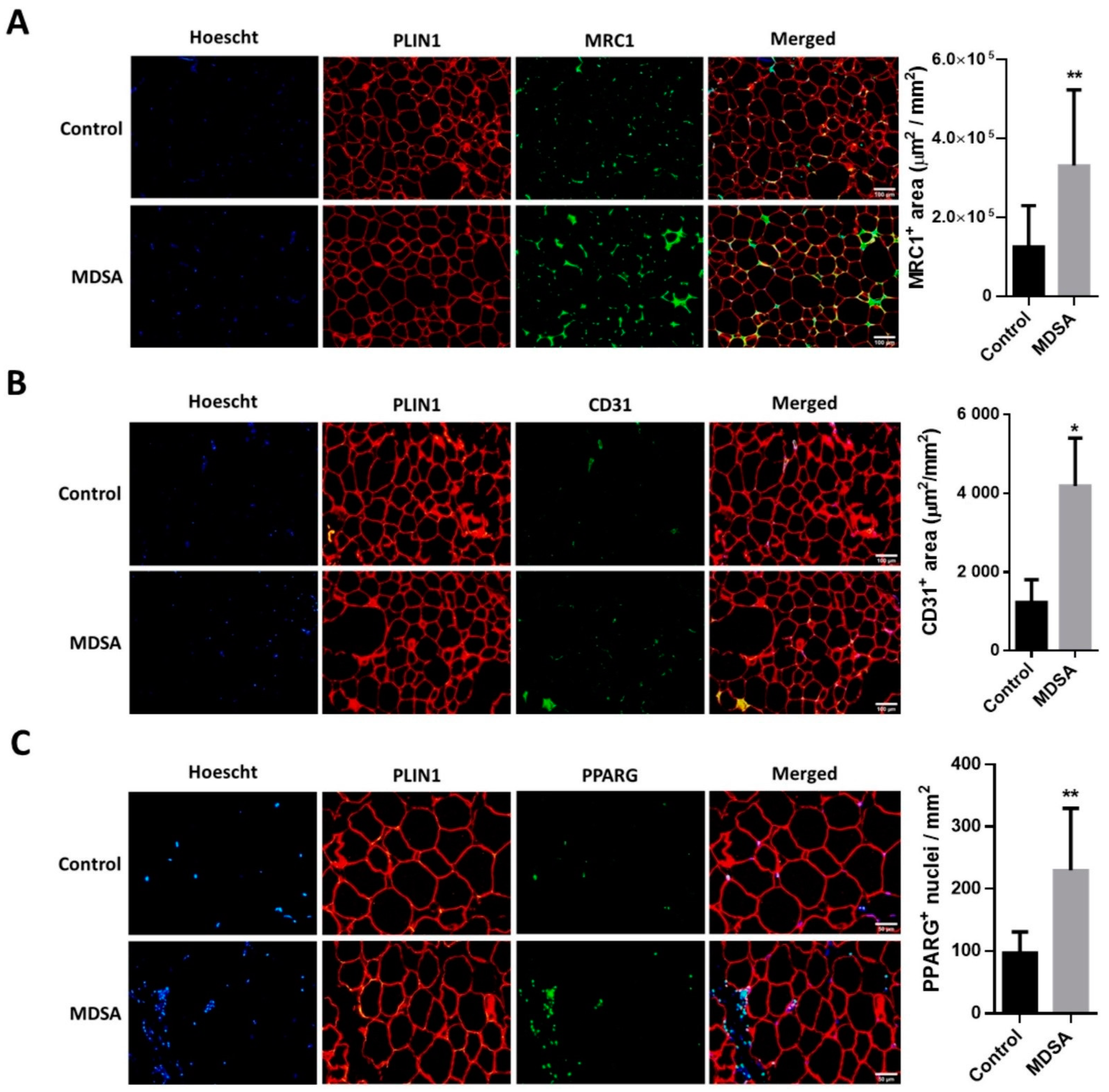 Nutrients 14 02617 g004 Nutrients 14 02617 g004