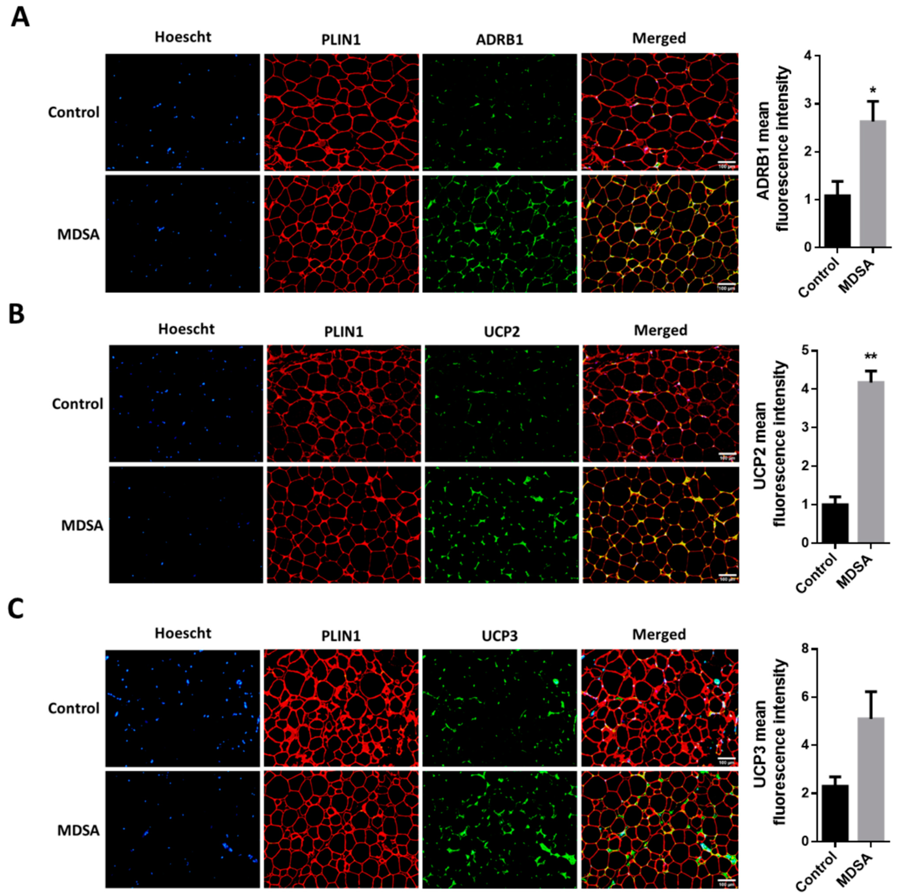 Nutrients 14 02617 g005 Nutrients 14 02617 g005