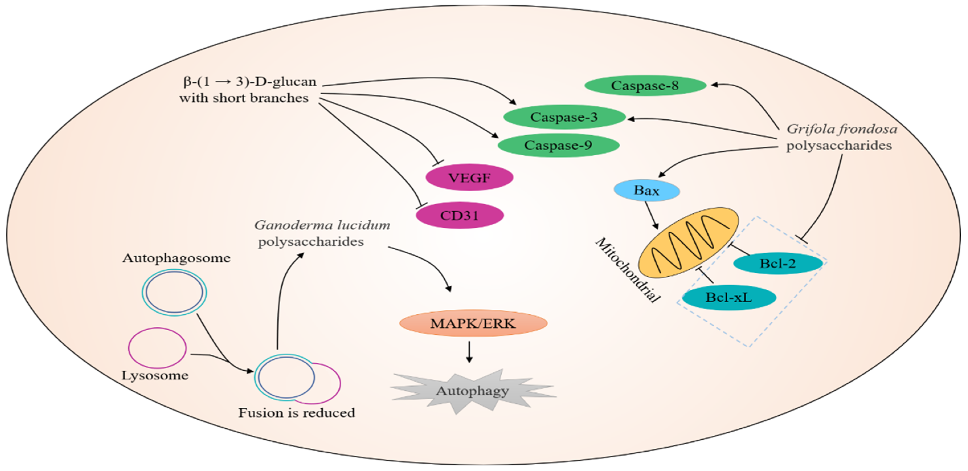 Nutrients 14 02622 g001