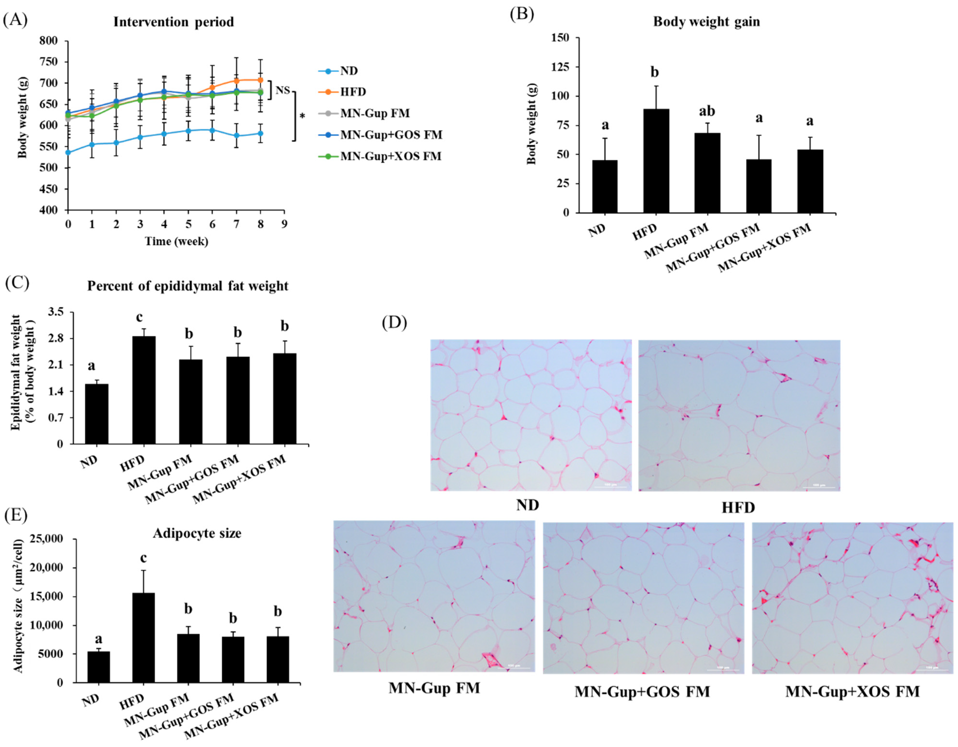 Nutrients 14 02631 g001