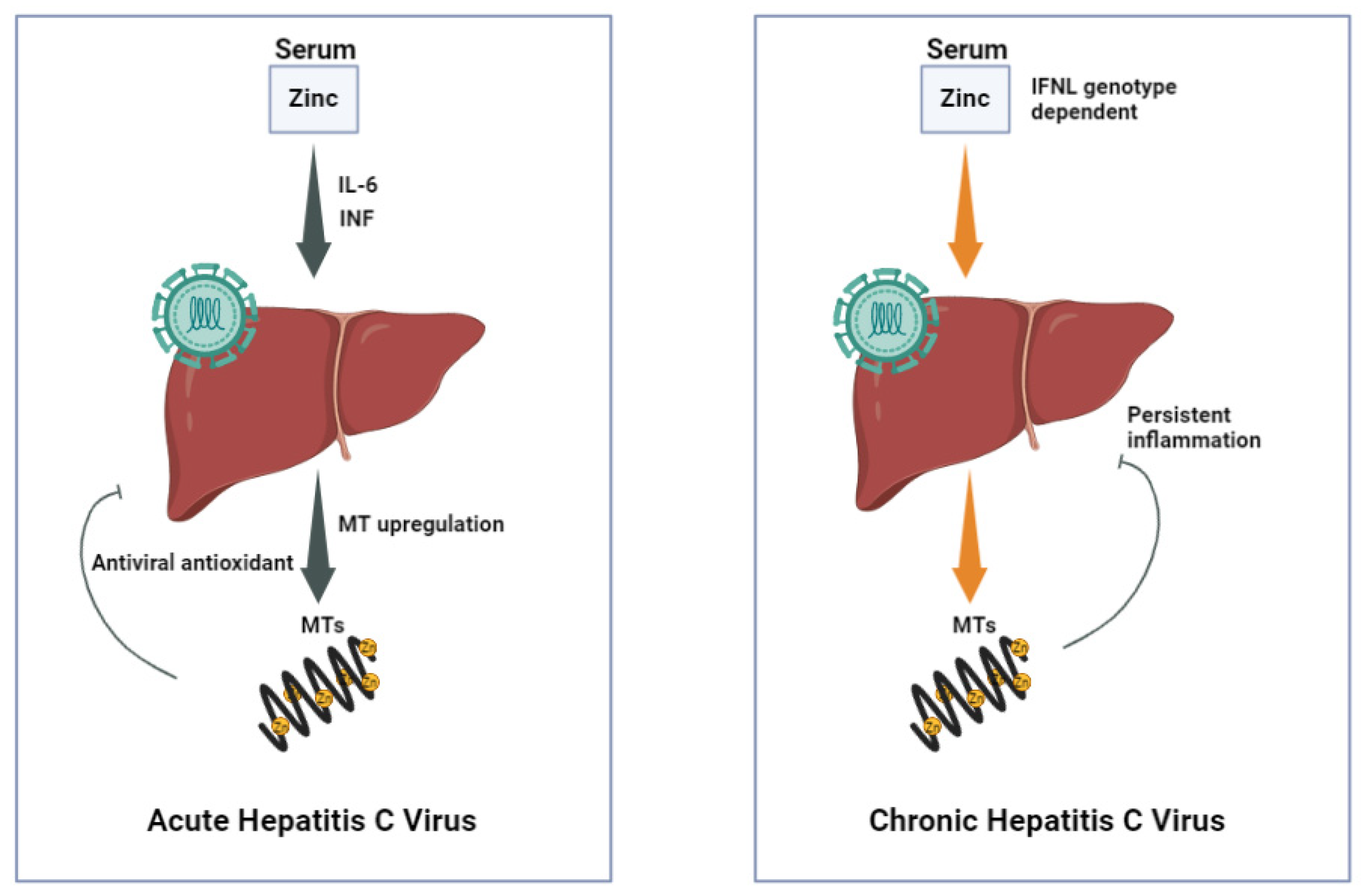 Nutrients 14 02632 g001