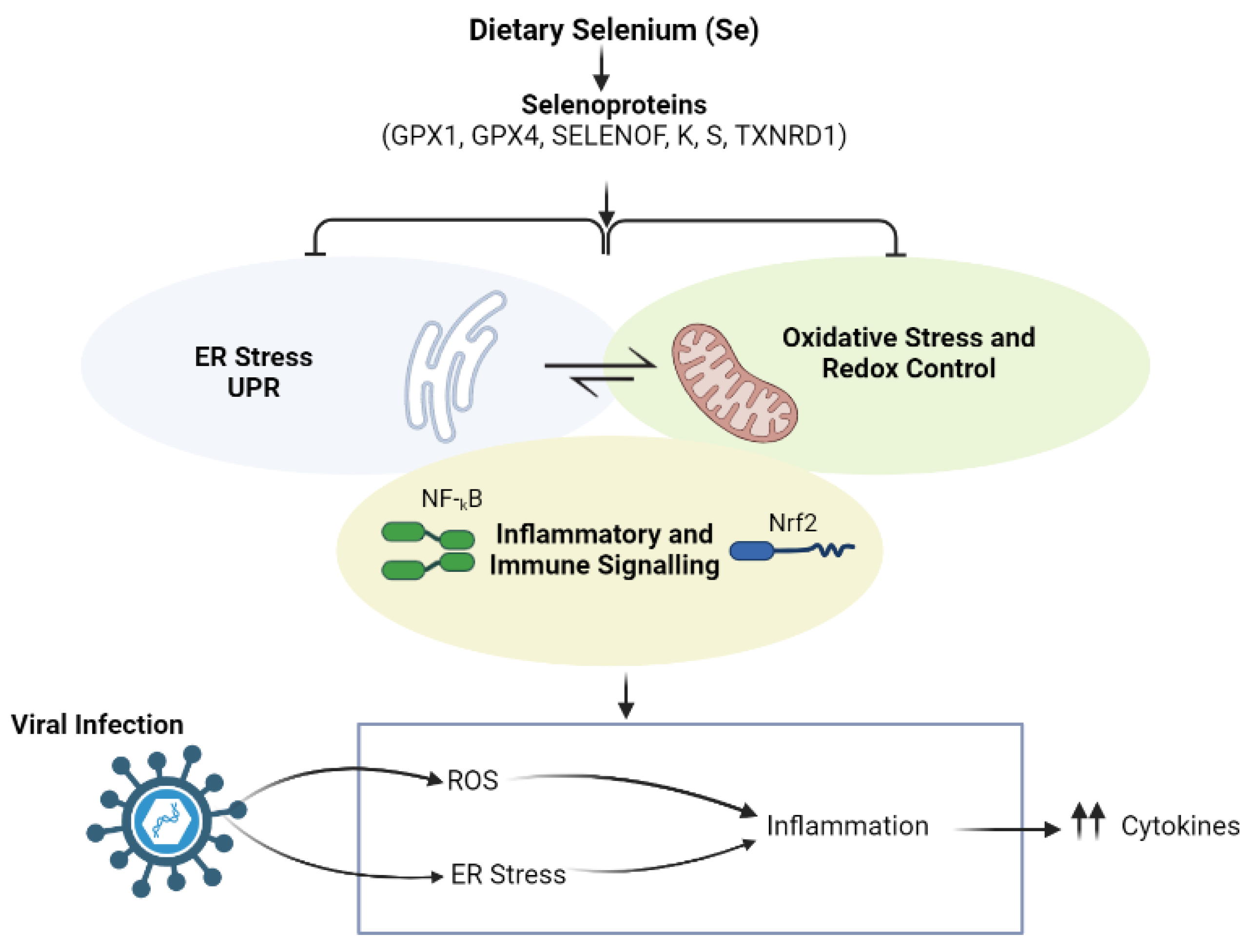 Nutrients 14 02632 g002