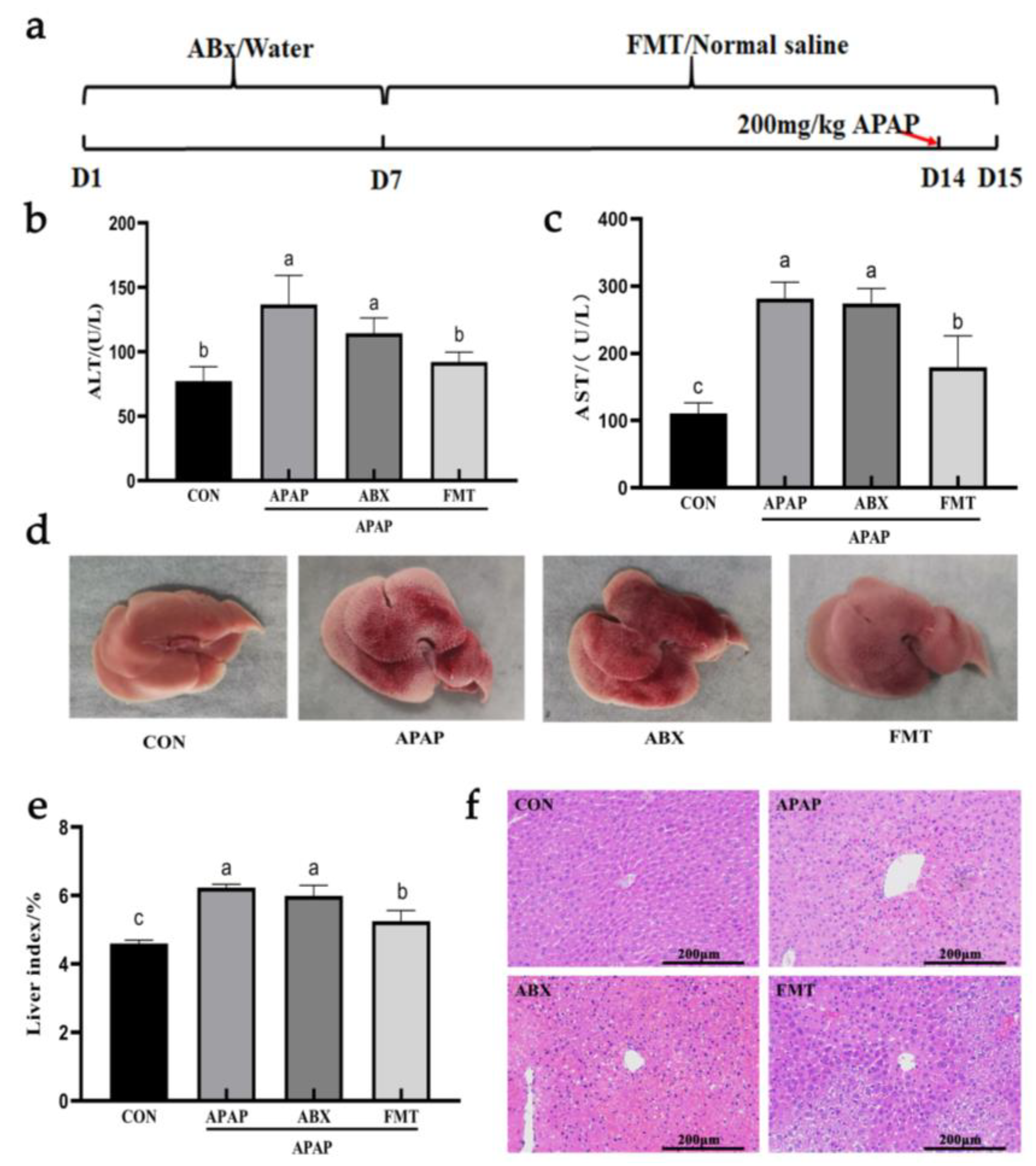 Nutrients 14 02636 g009