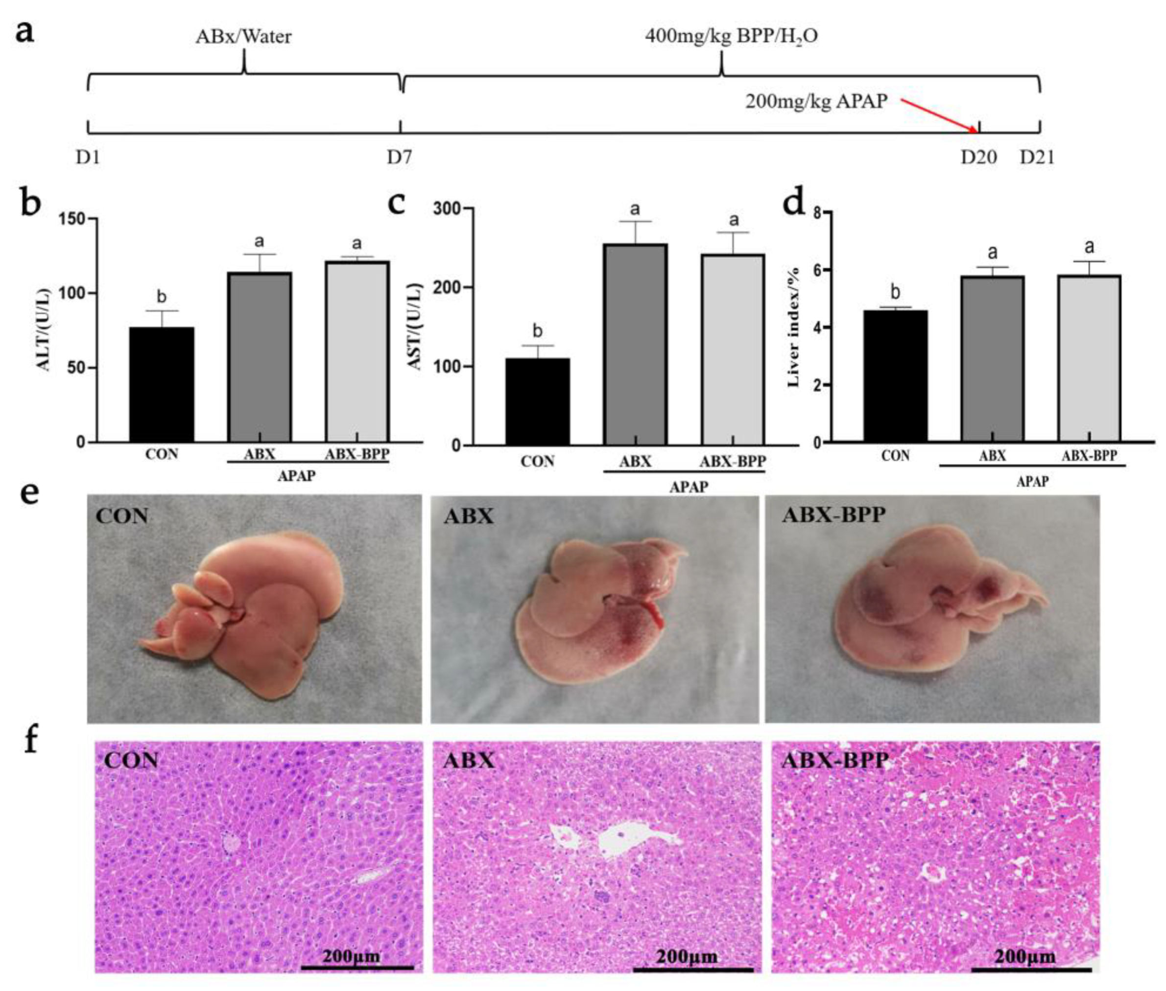 Nutrients 14 02636 g011