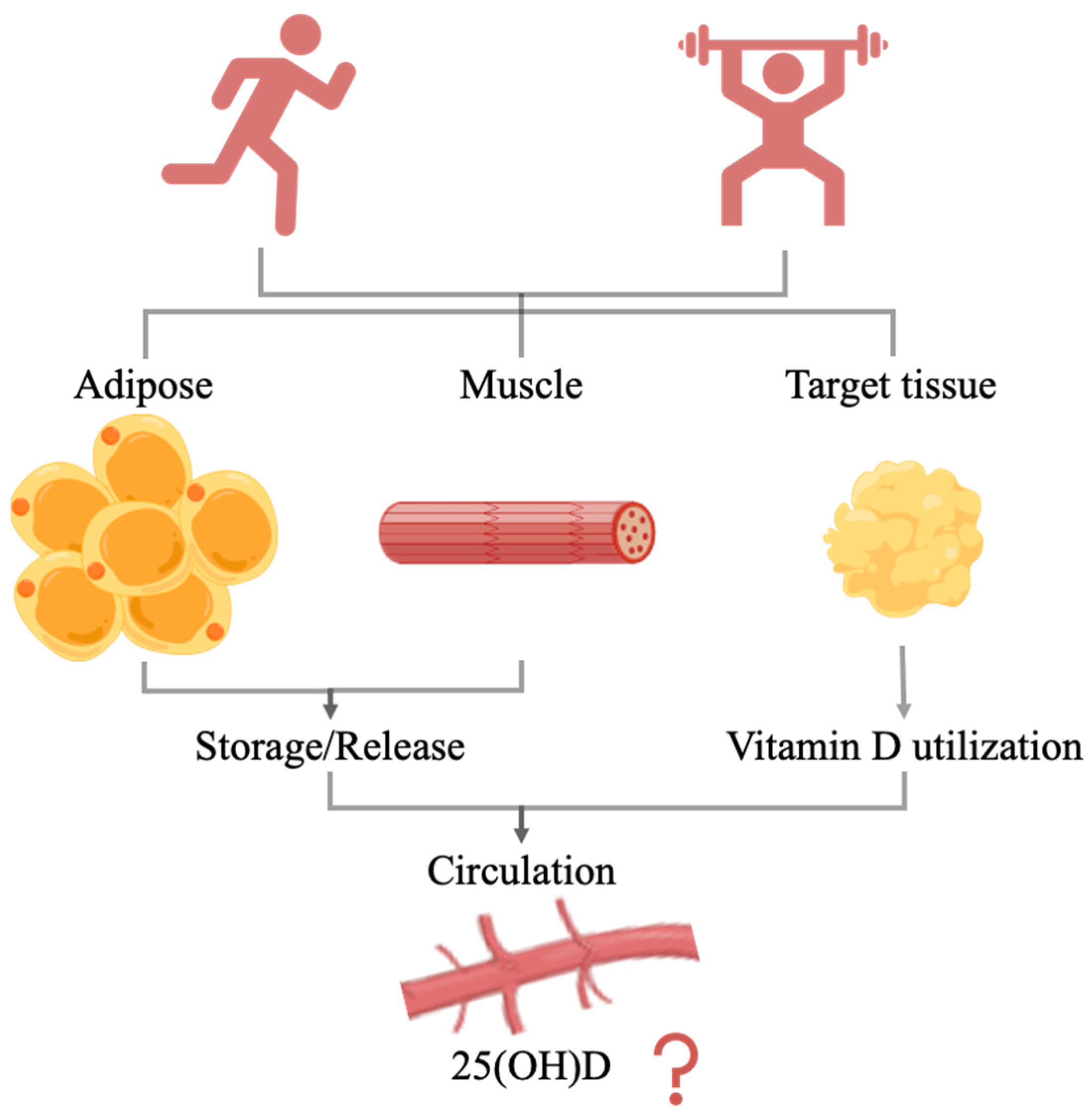 Nutrients 14 02652 g003 Nutrients 14 02652 g003