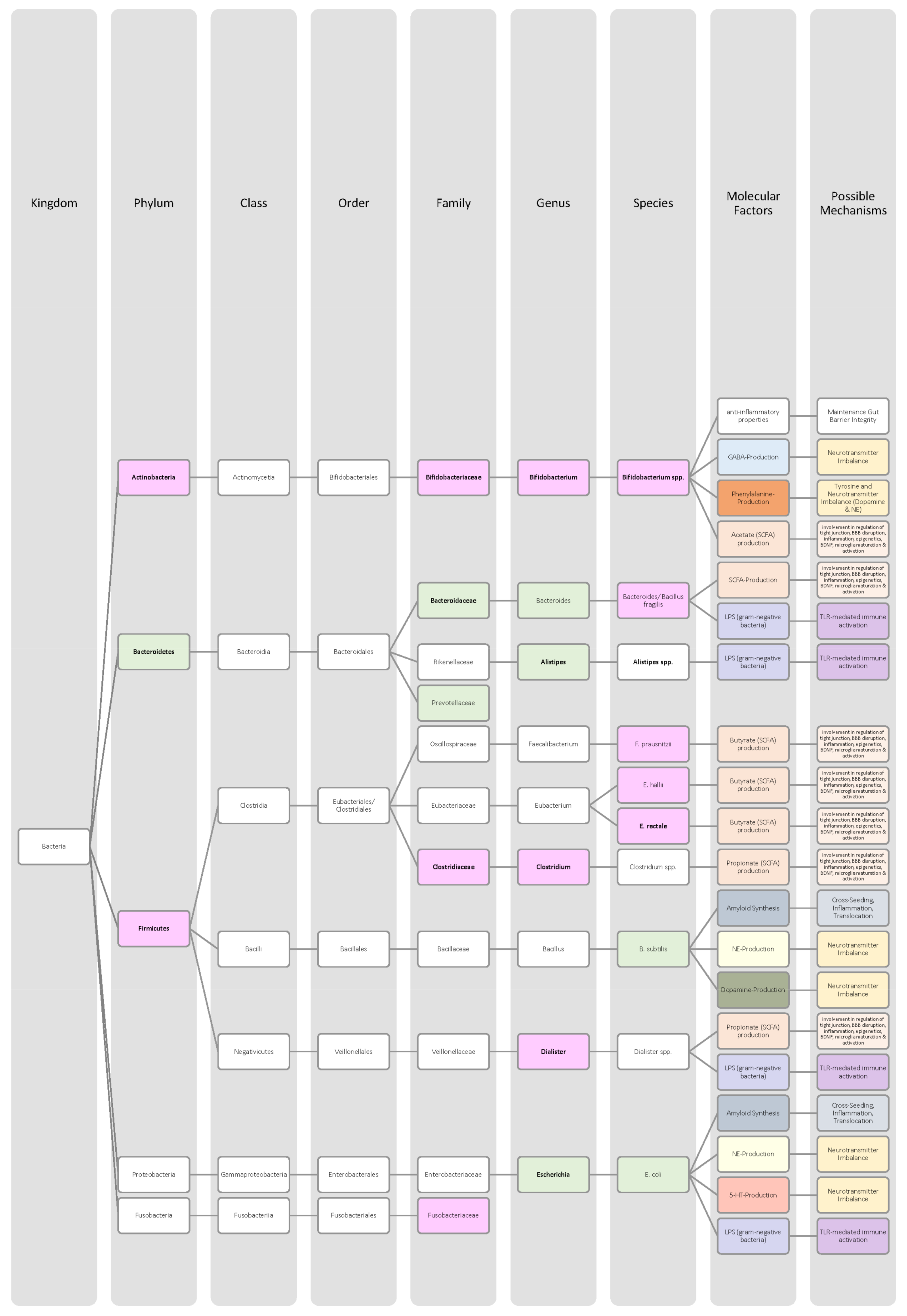 Nutrients 14 02661 g007 Nutrients 14 02661 g007