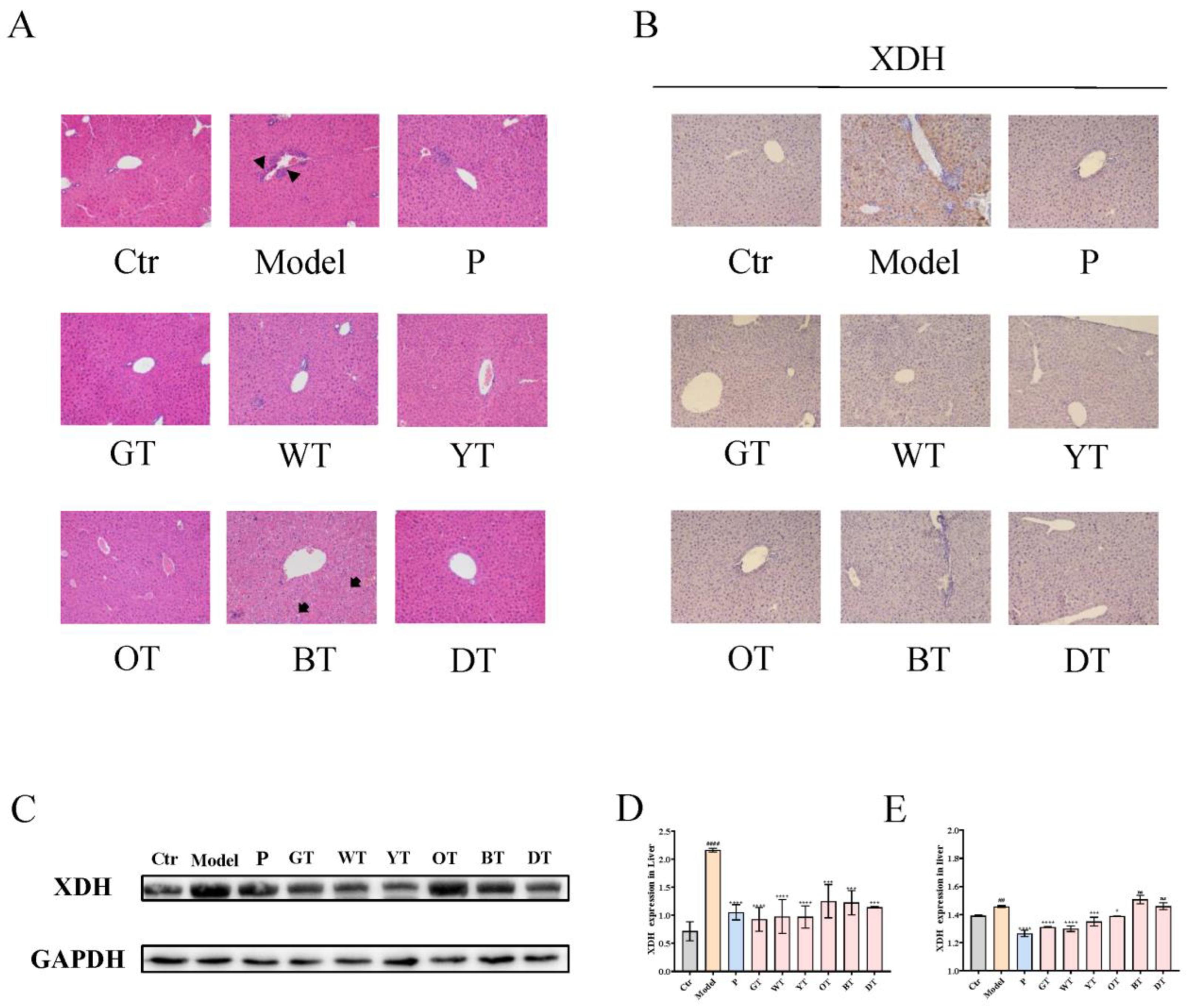 Nutrients 14 02666 g002