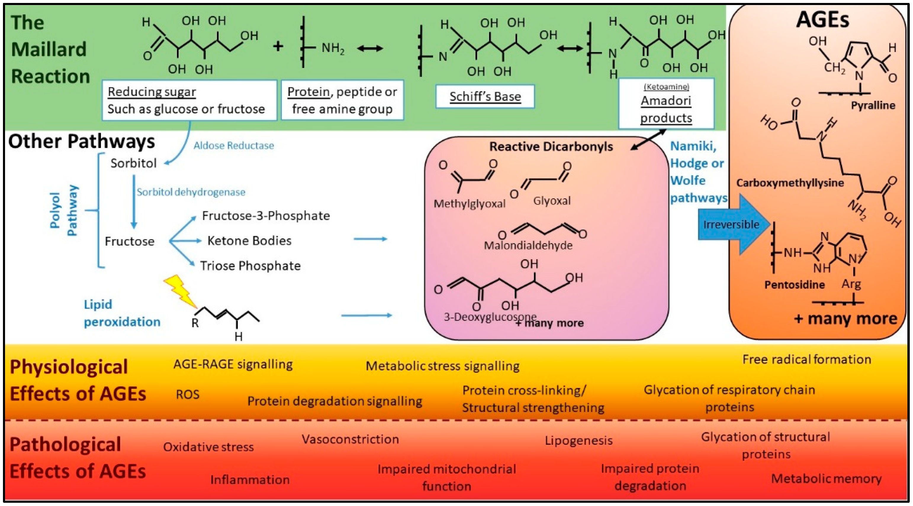 Nutrients 14 02675 g001