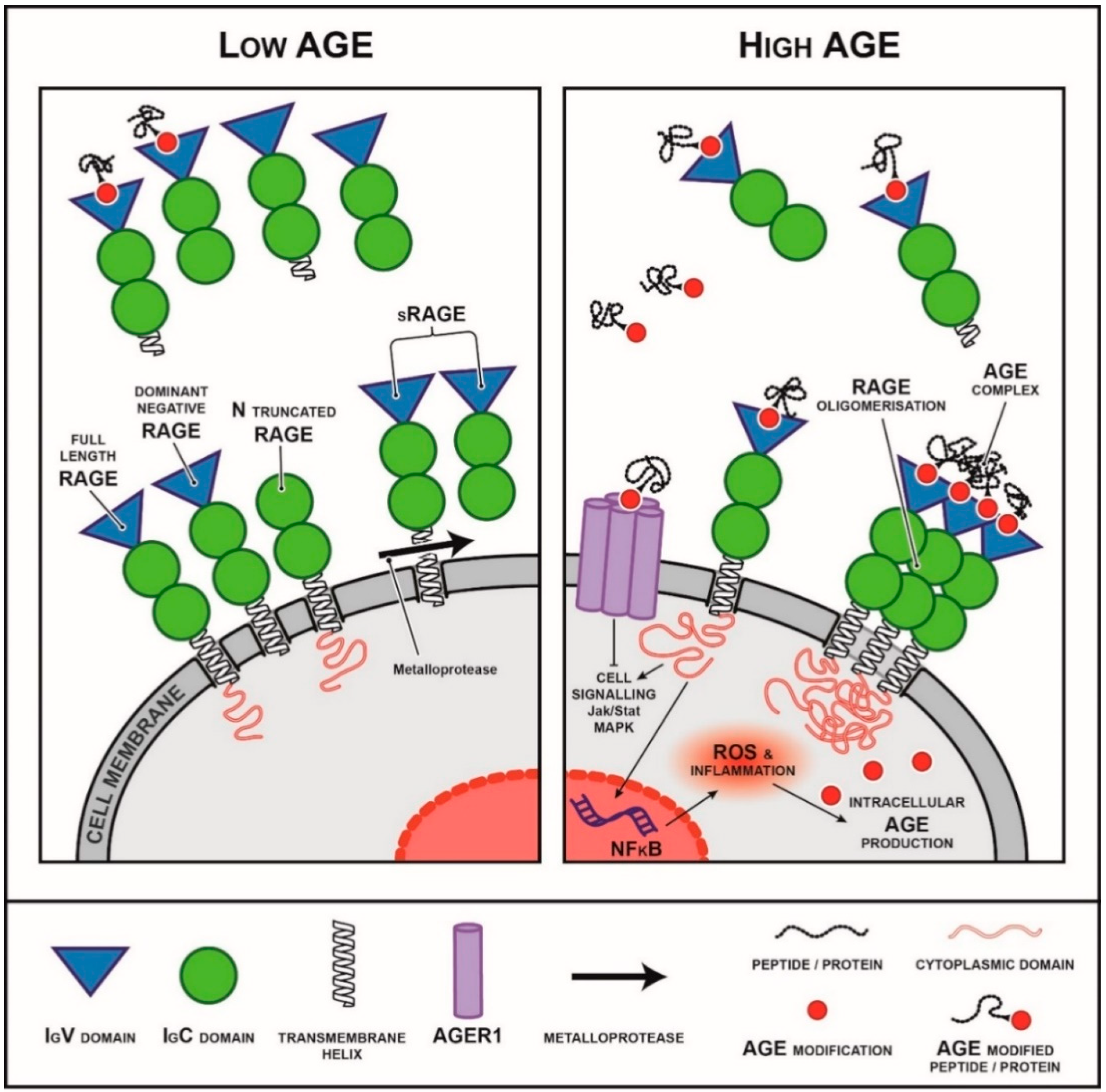 Nutrients 14 02675 g002