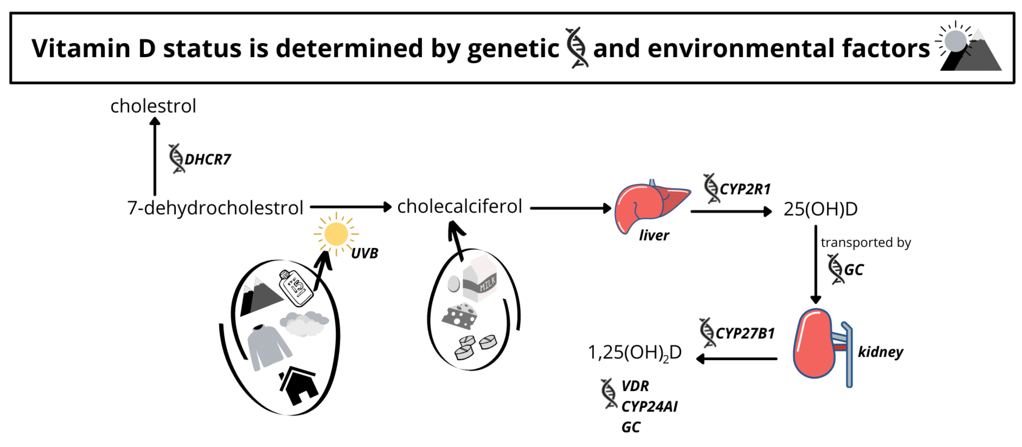 Nutrients 14 02735 g001