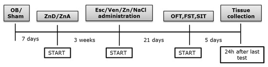Nutrients 14 02746 sch001 550