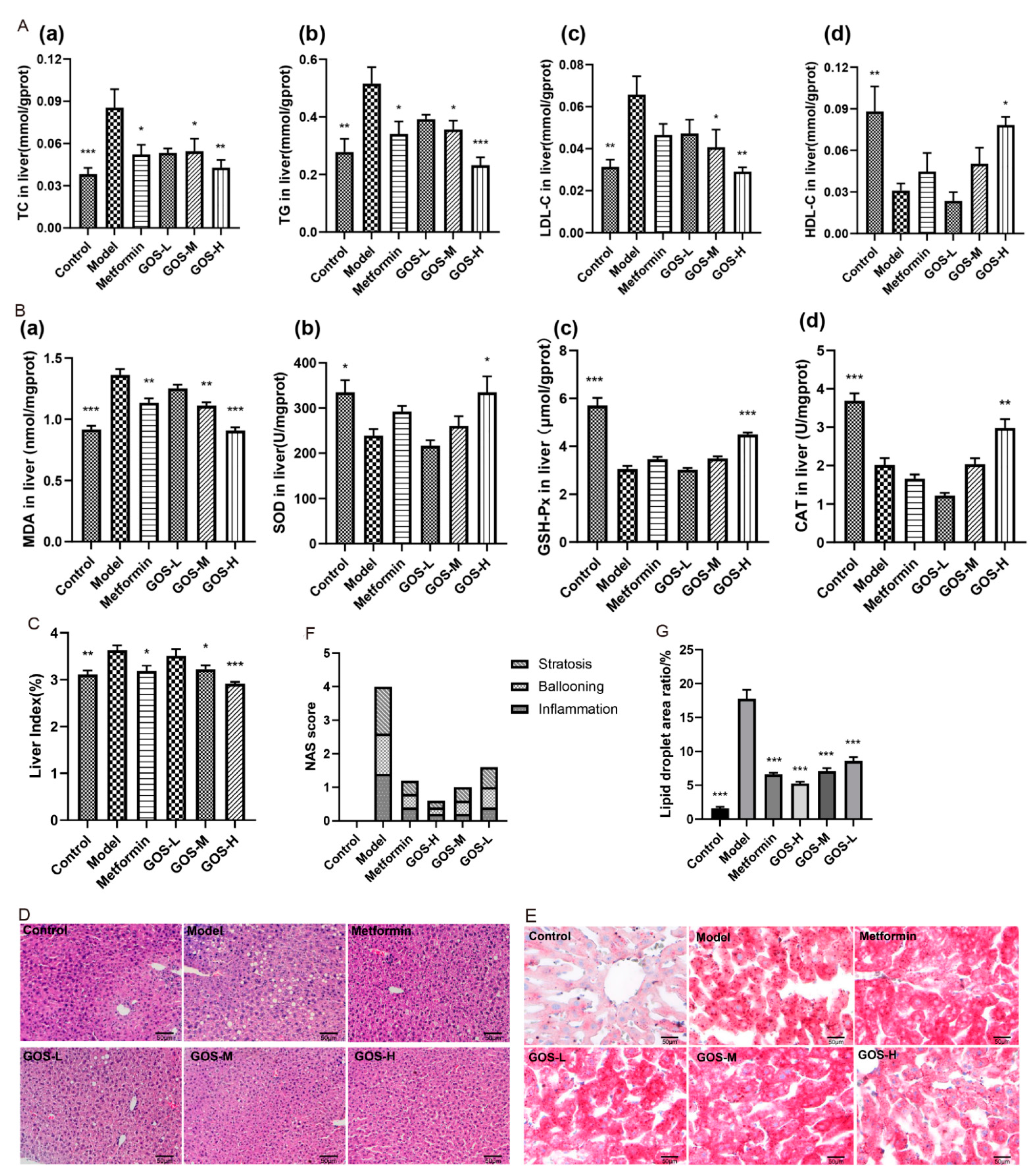 Nutrients 14 02749 g004 Nutrients 14 02749 g004
