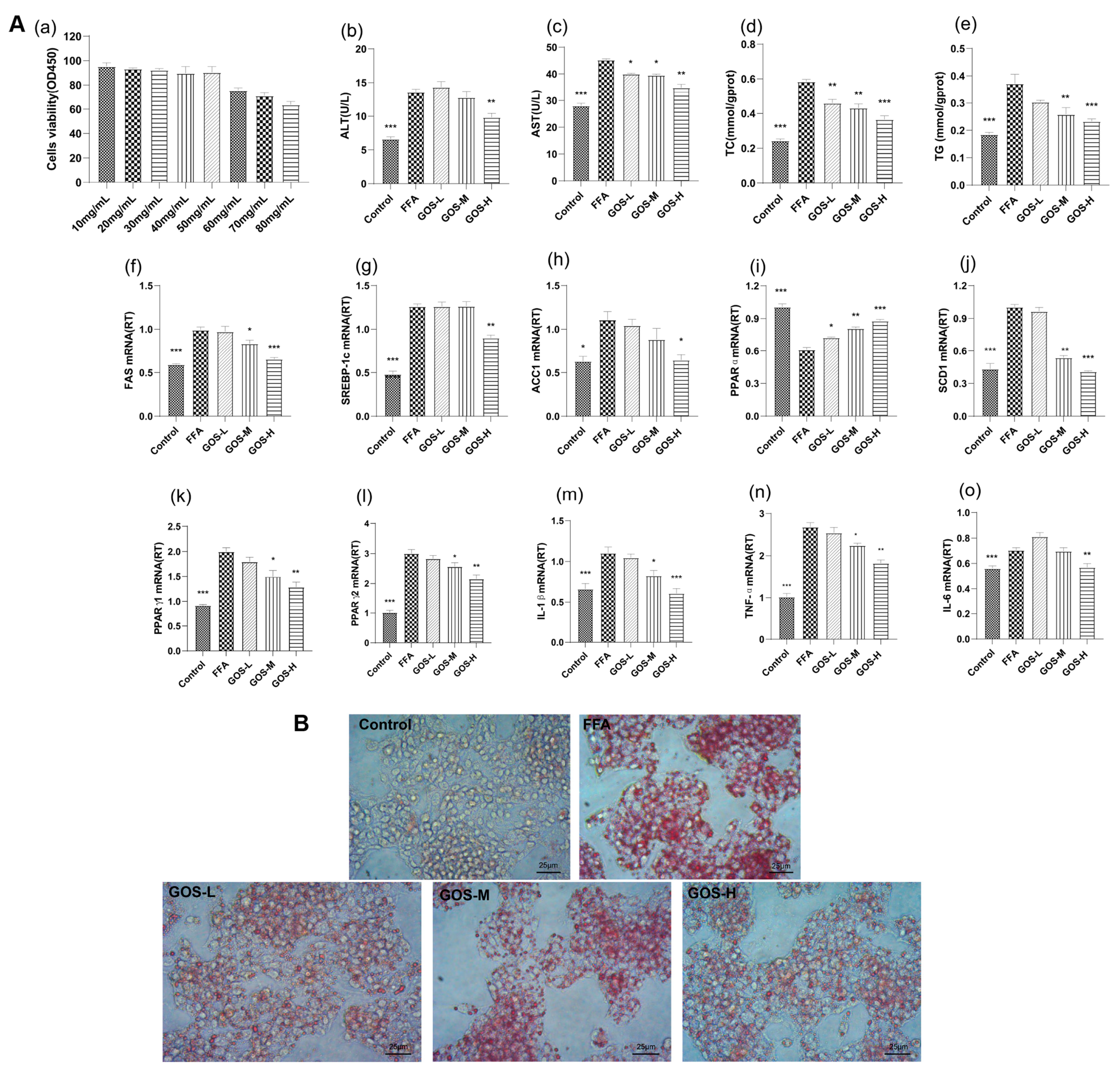 Nutrients 14 02749 g012 Nutrients 14 02749 g012