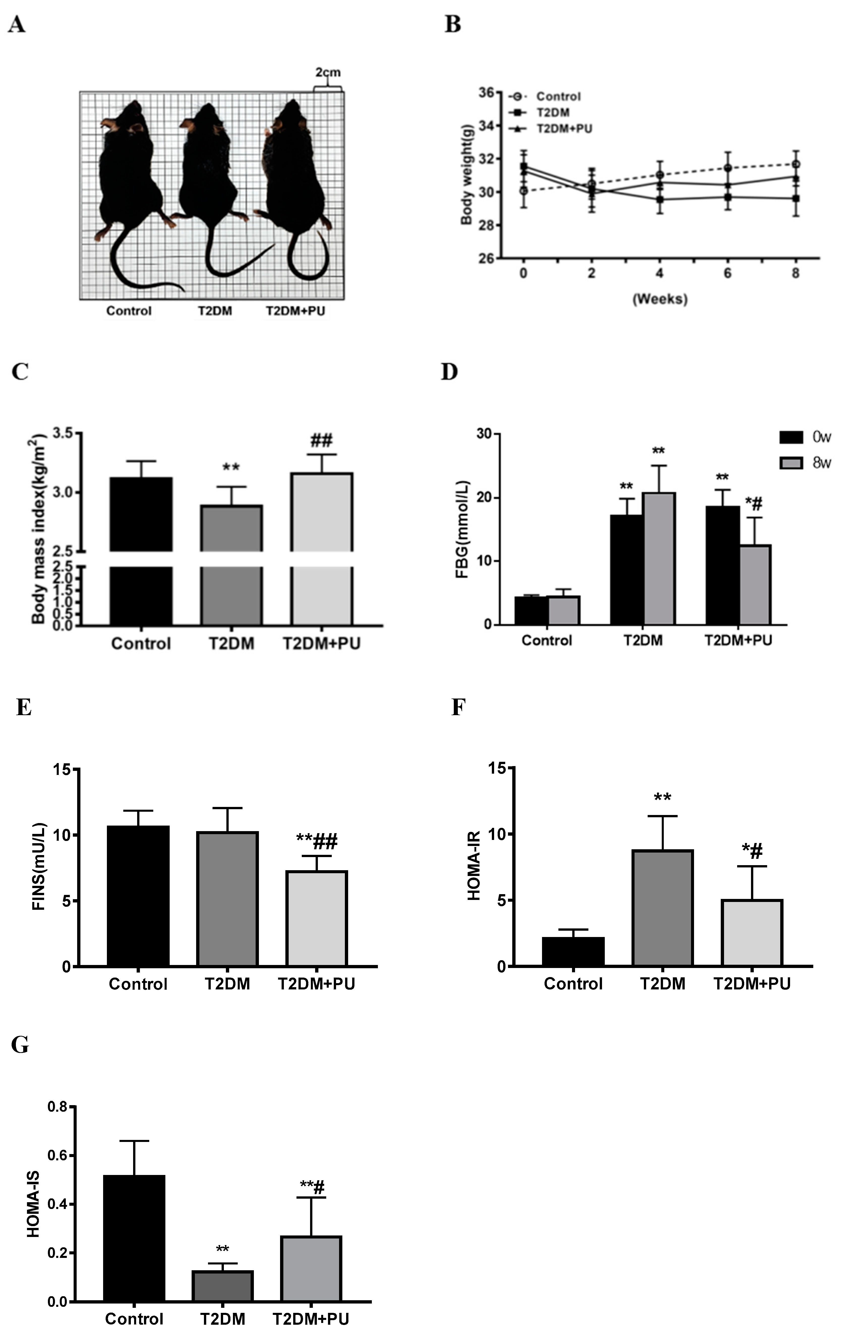 Nutrients 14 02782 g001
