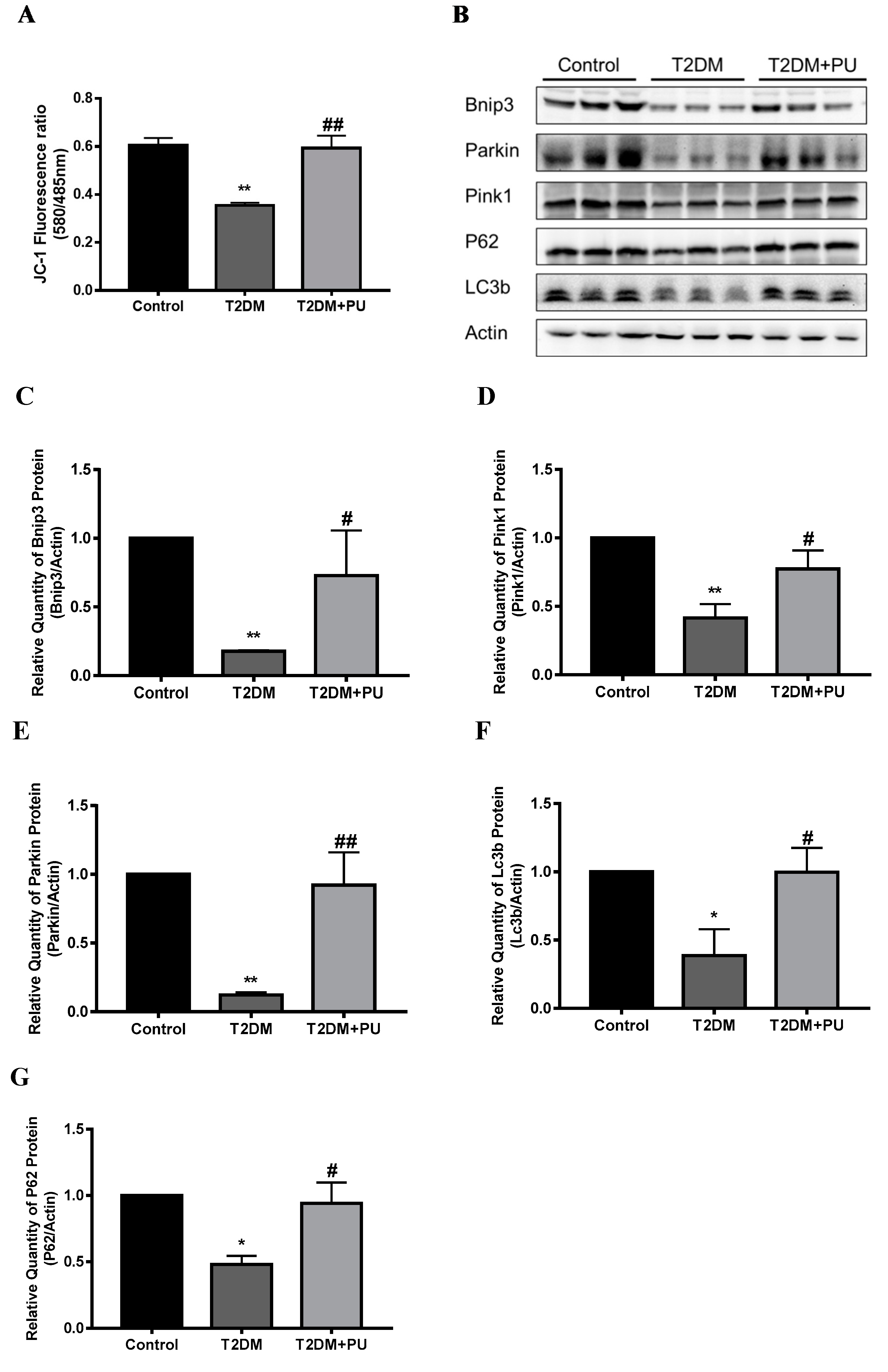 Nutrients 14 02782 g004