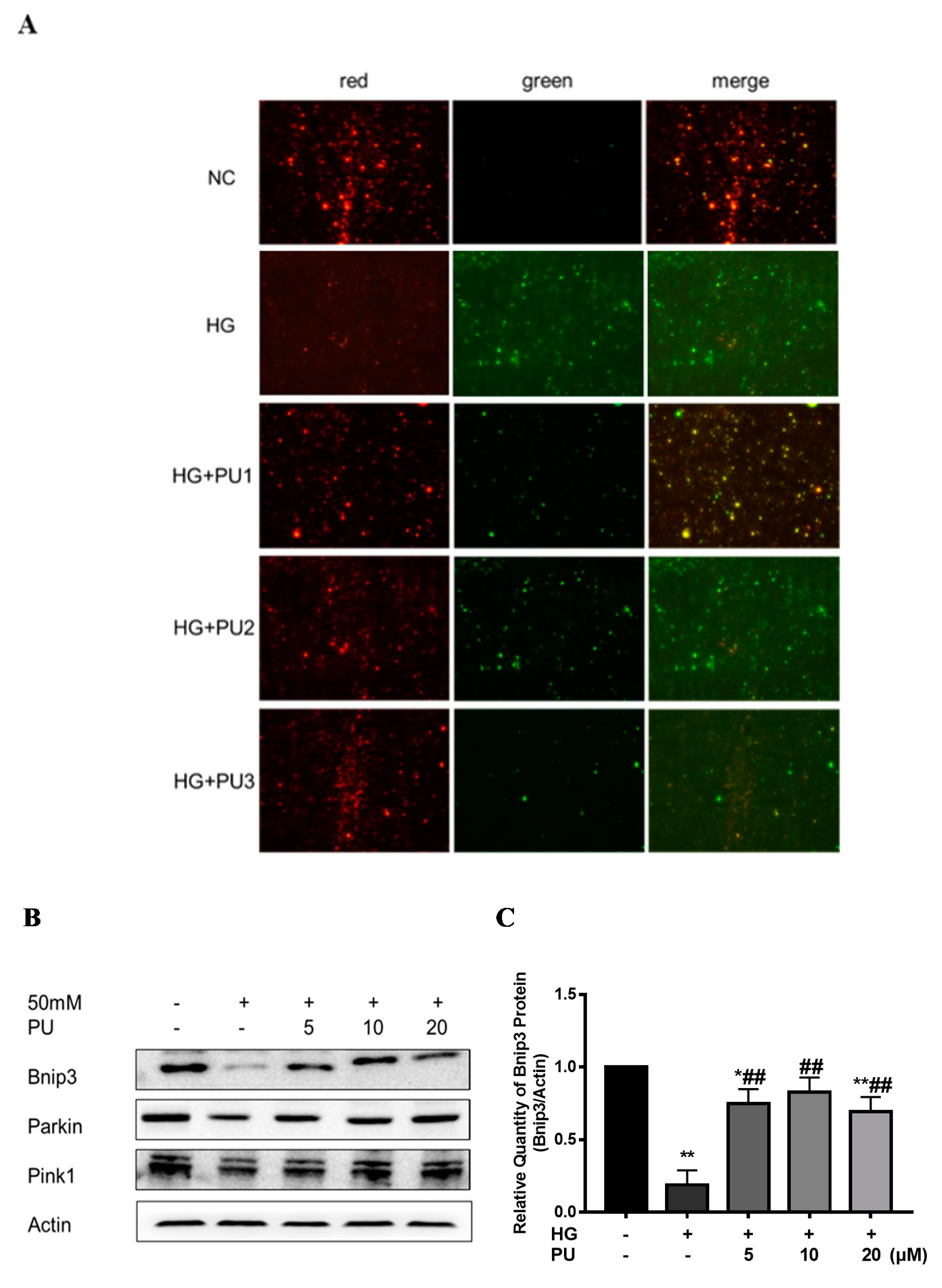 Nutrients 14 02782 g005a