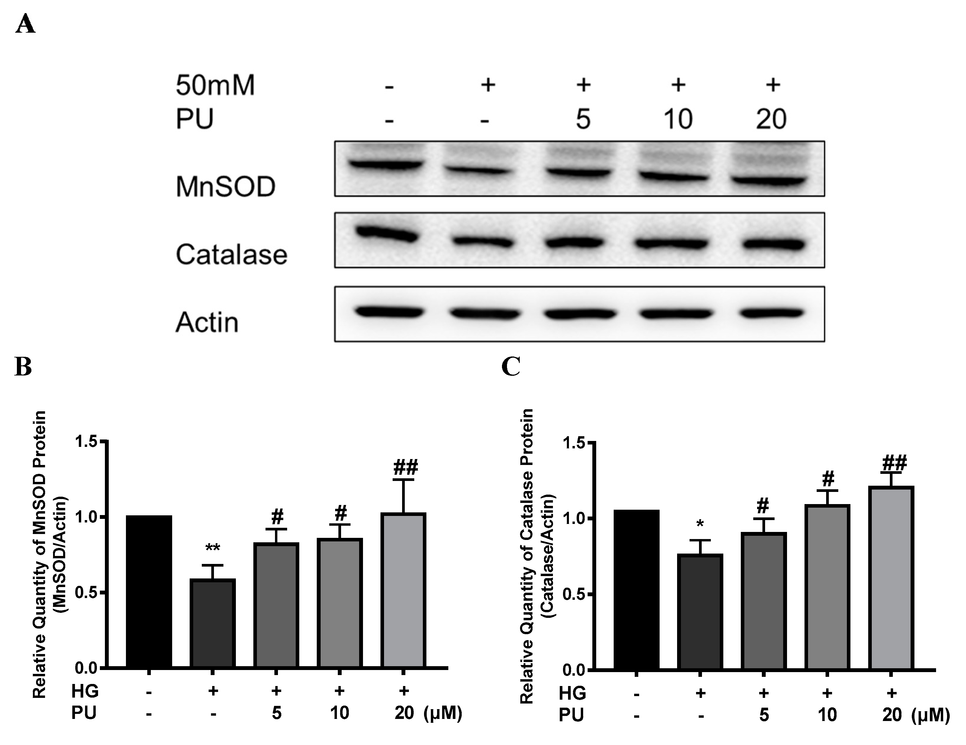 Nutrients 14 02782 g007