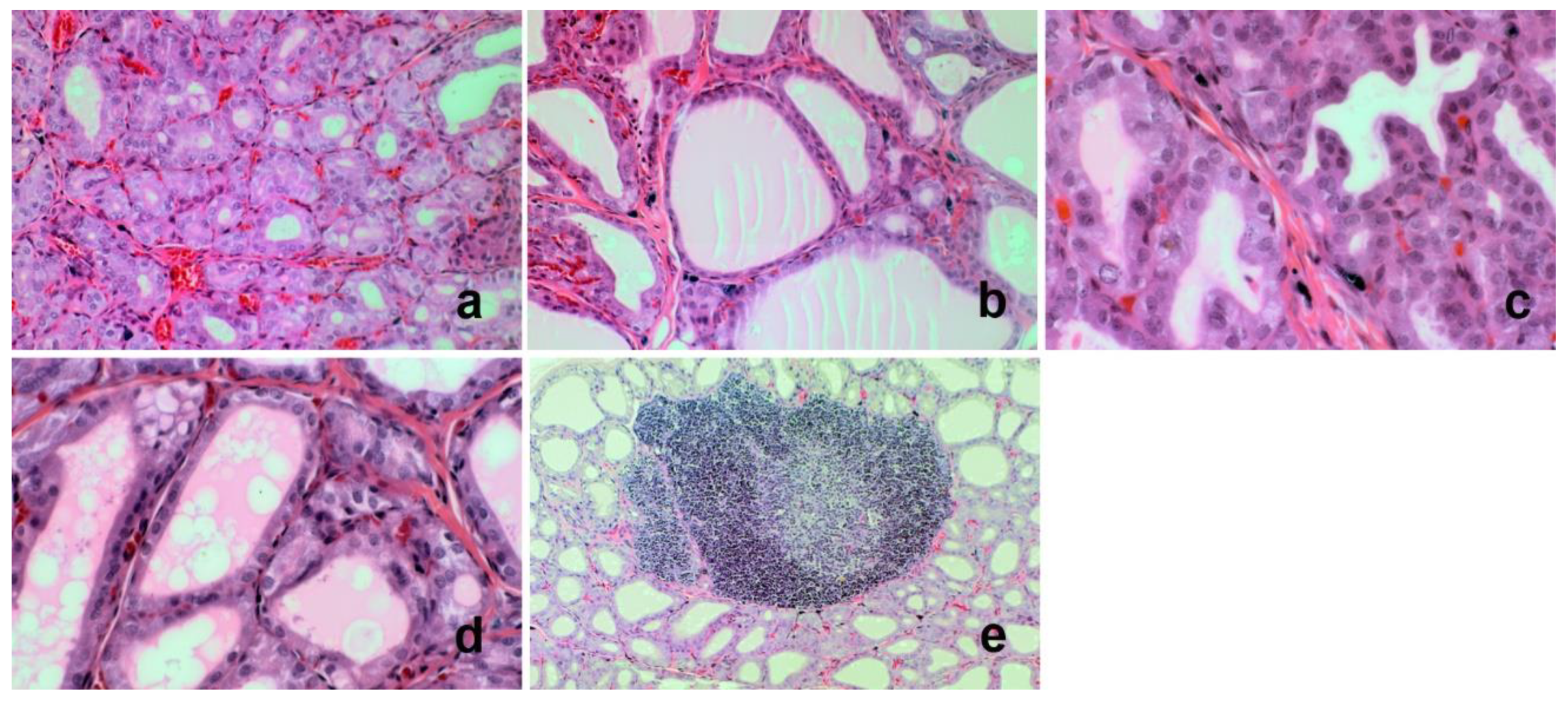 Nutrients 14 02802 g001 Nutrients 14 02802 g001