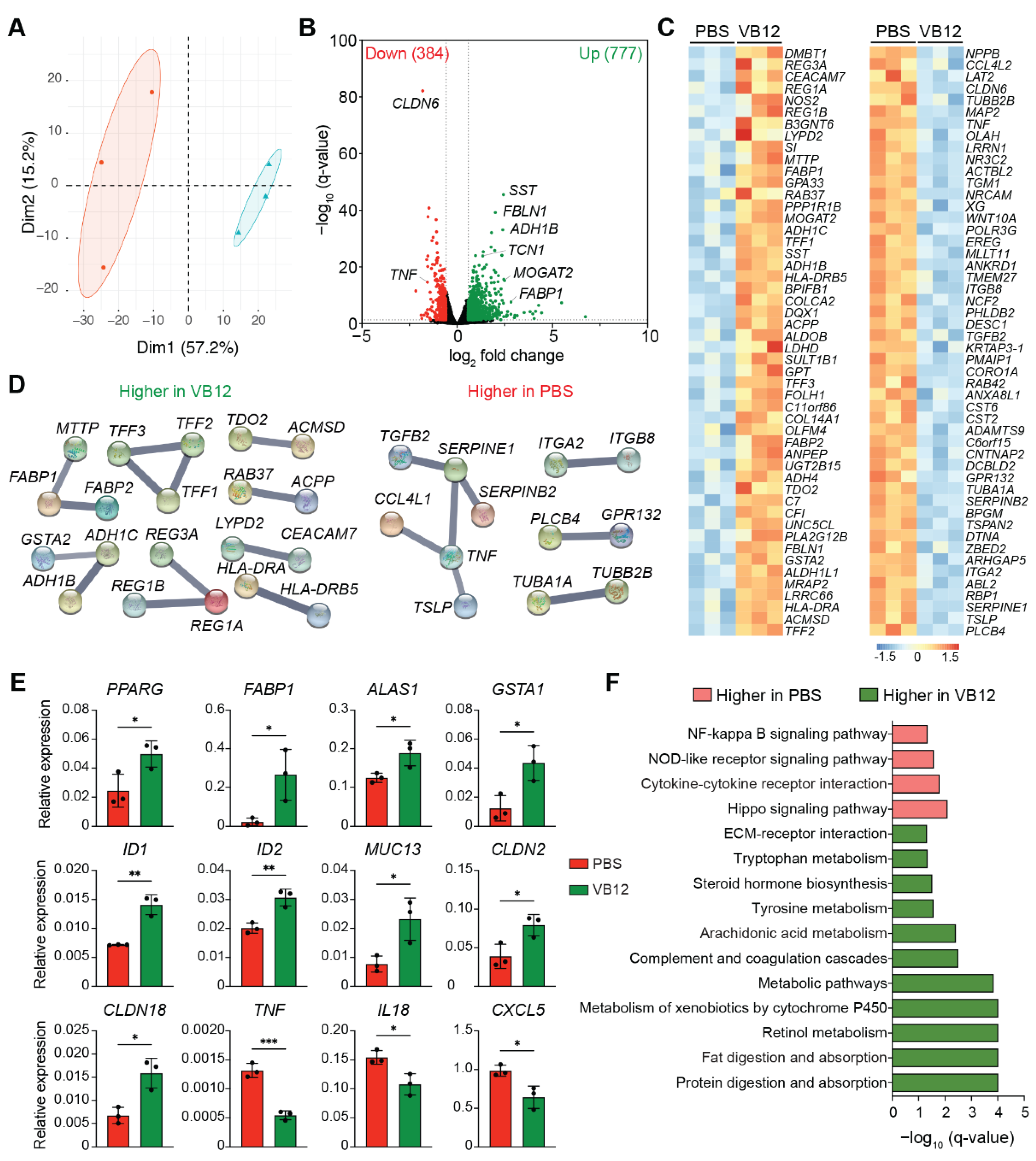 Nutrients 14 02825 g001 Nutrients 14 02825 g001