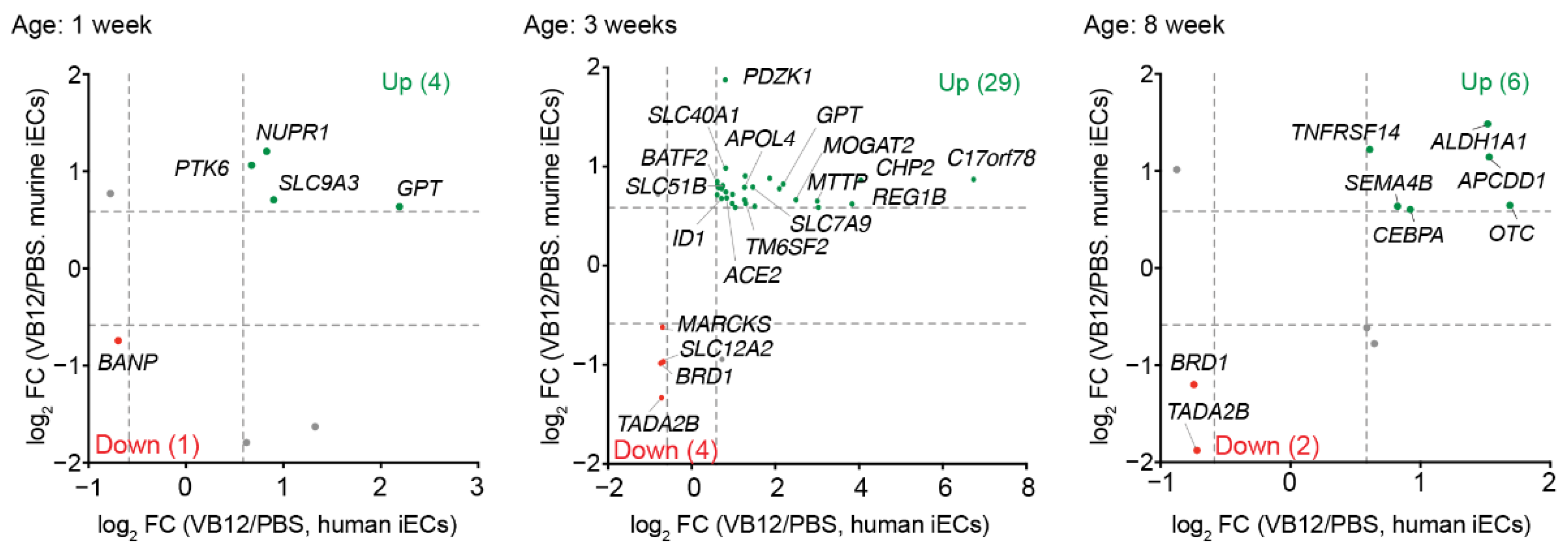 Nutrients 14 02825 g002 Nutrients 14 02825 g002