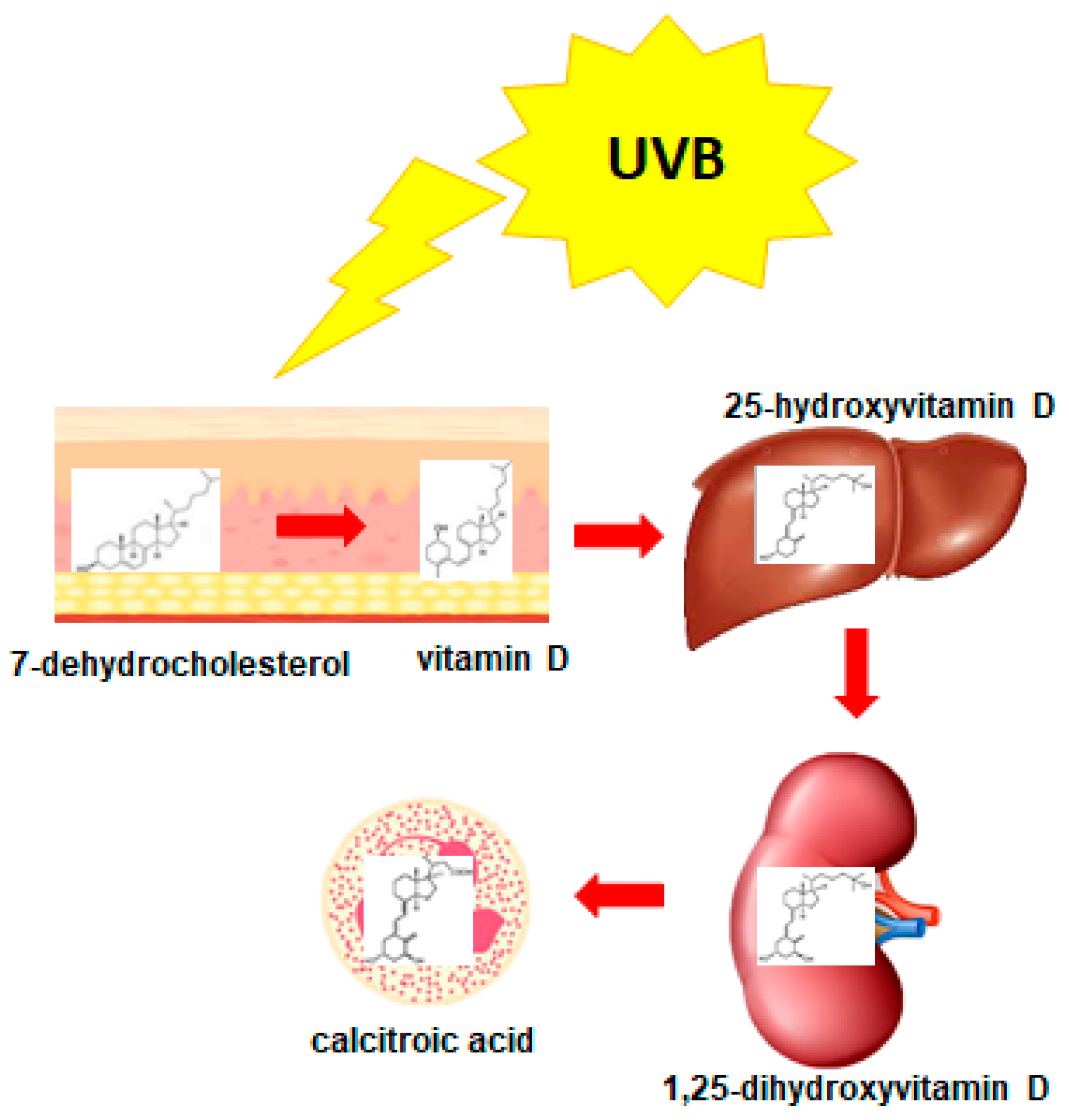 Nutrients 14 02851 g002