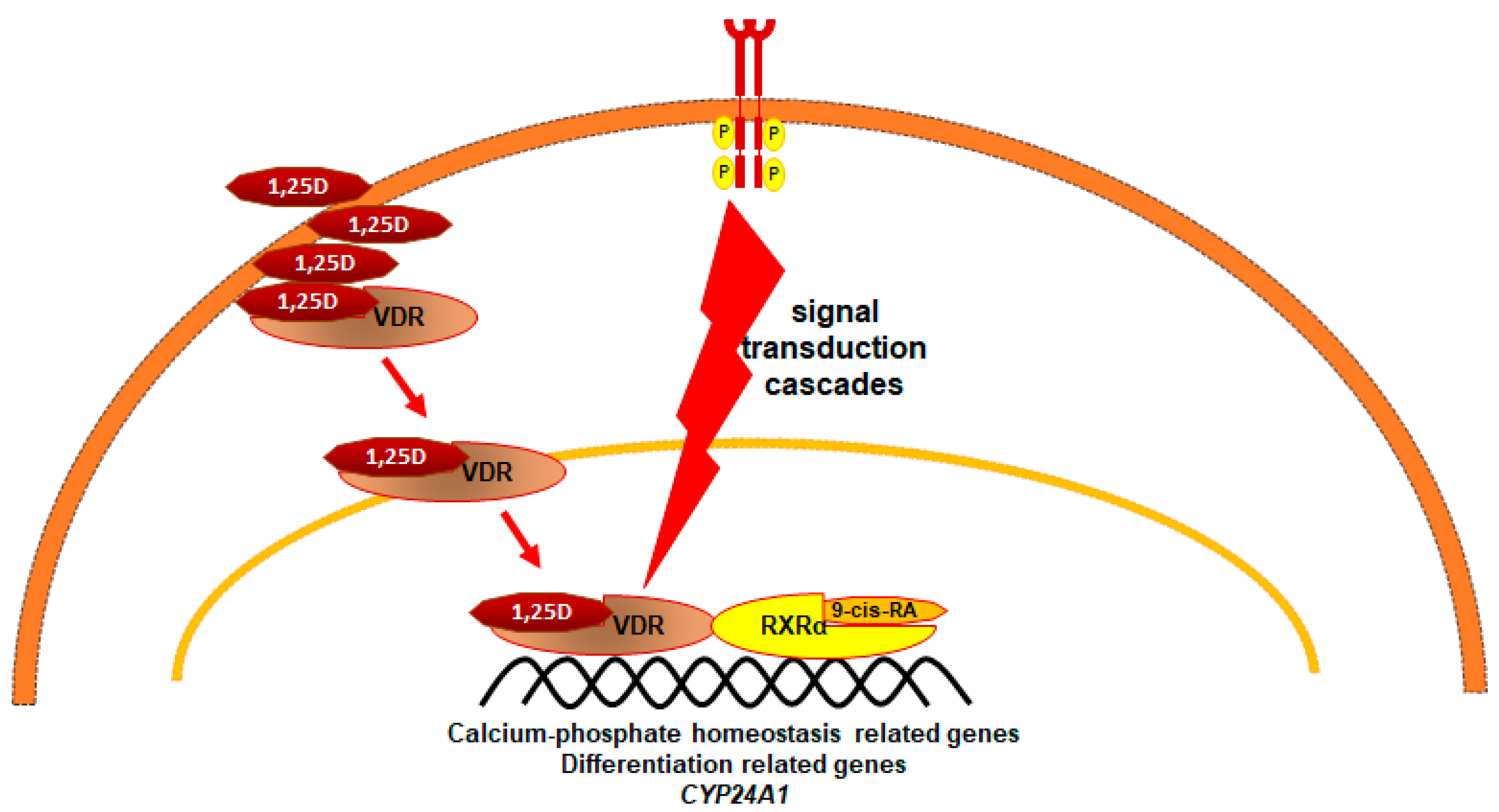 Nutrients 14 02851 g003