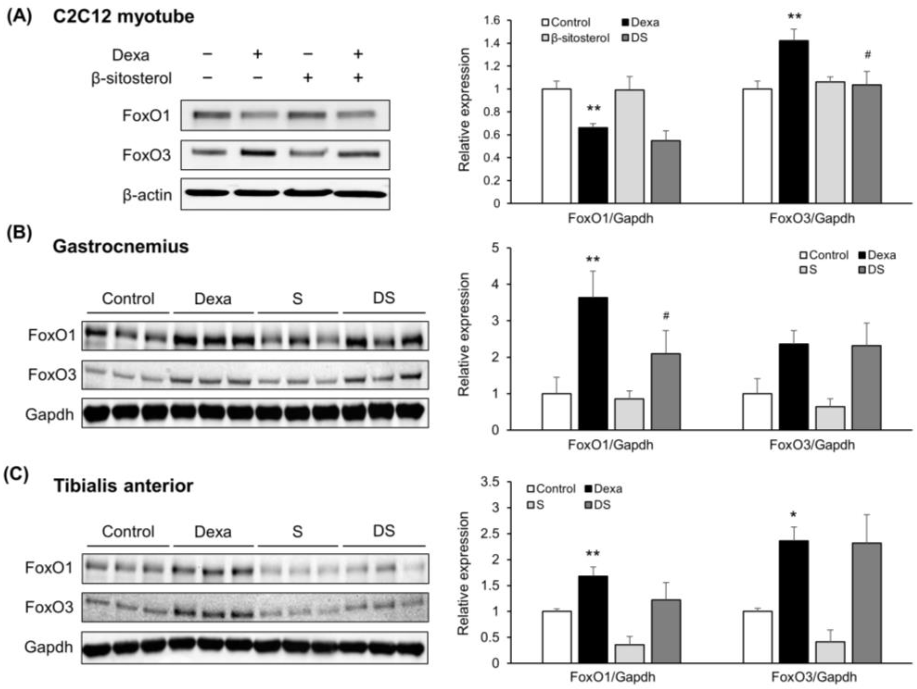 Nutrients 14 02894 g005