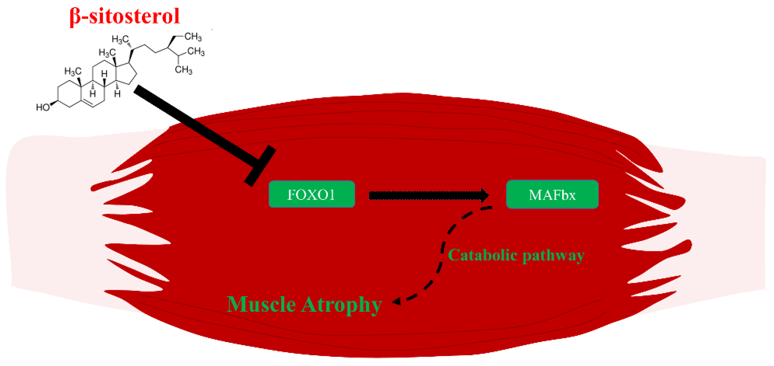 Nutrients 14 02894 g006