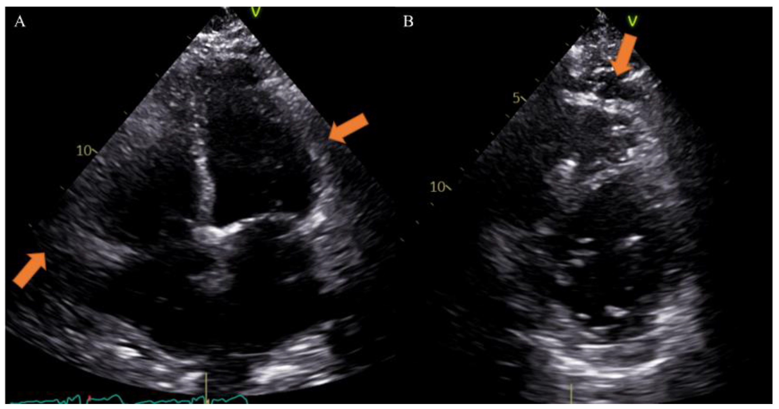 Nutrients 14 02926 g002
