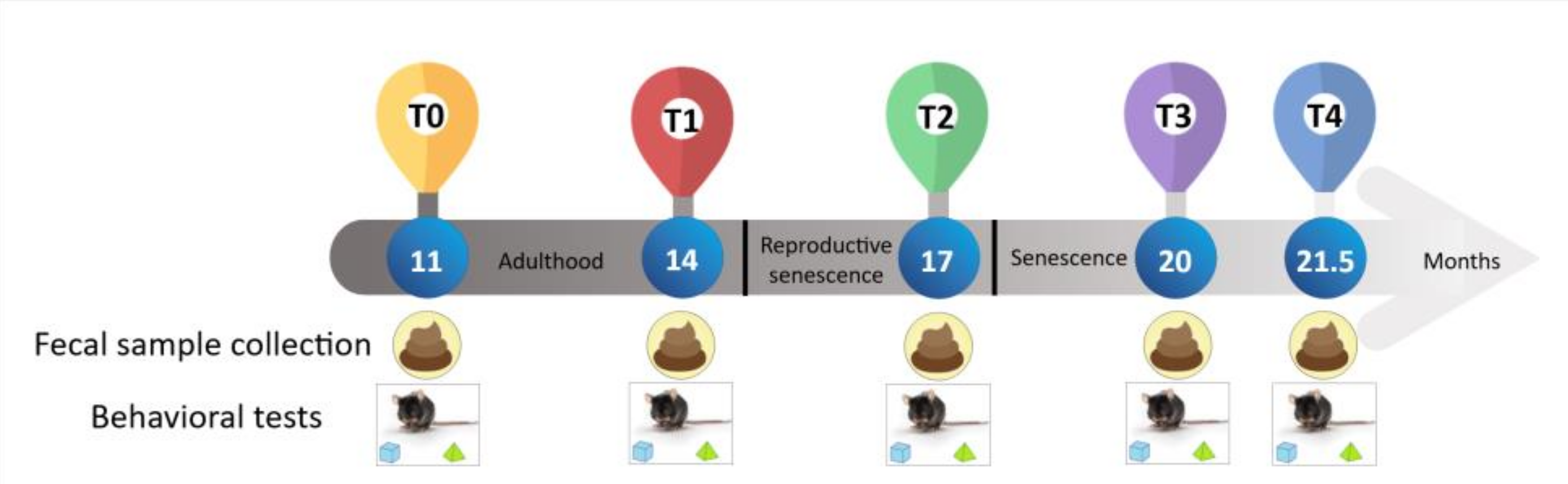 Nutrients 14 02937 g001