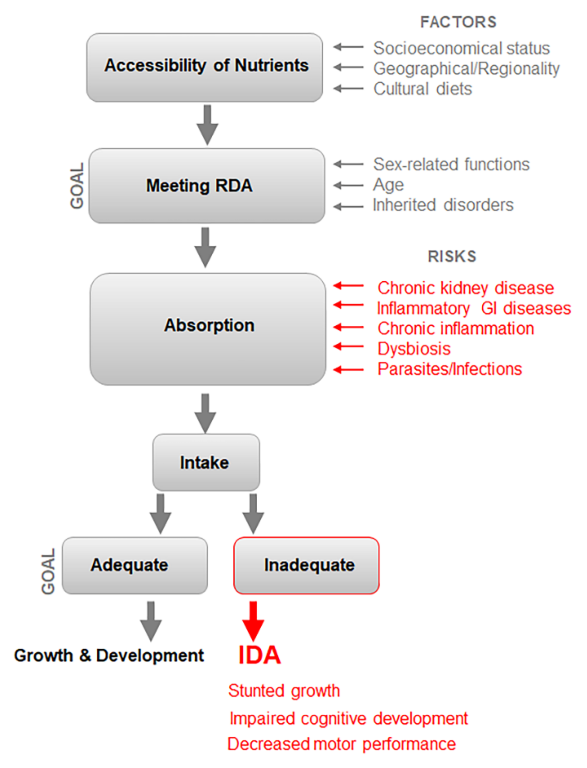 Nutrients 14 02976 g002