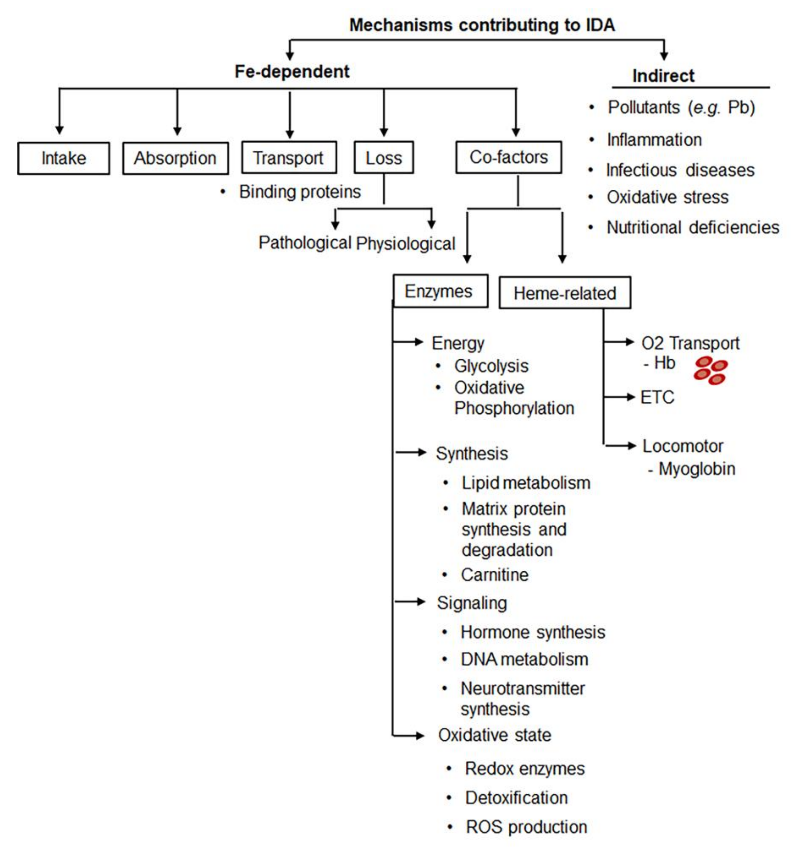 Nutrients 14 02976 g003