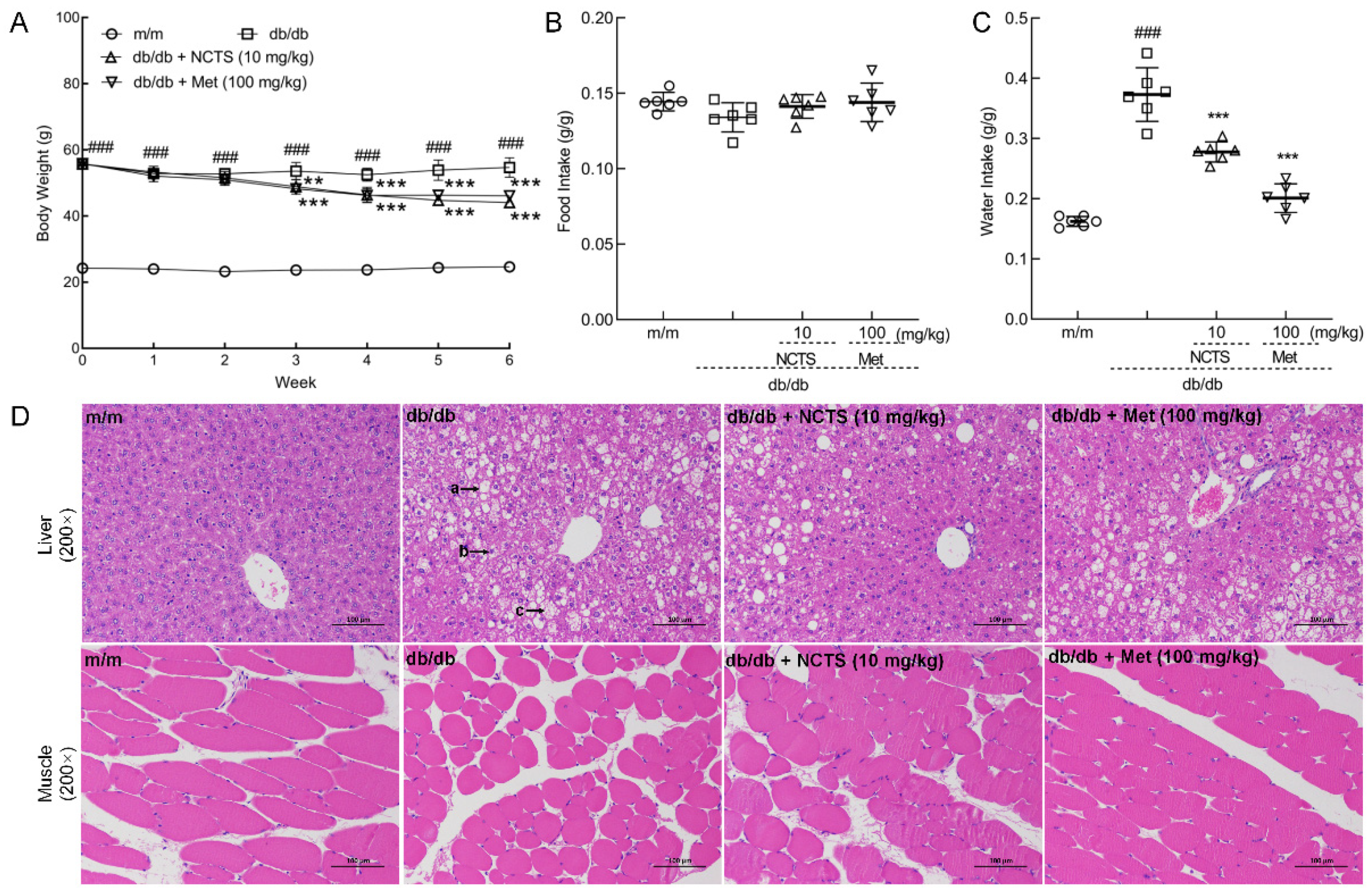 Nutrients 14 03031 g002