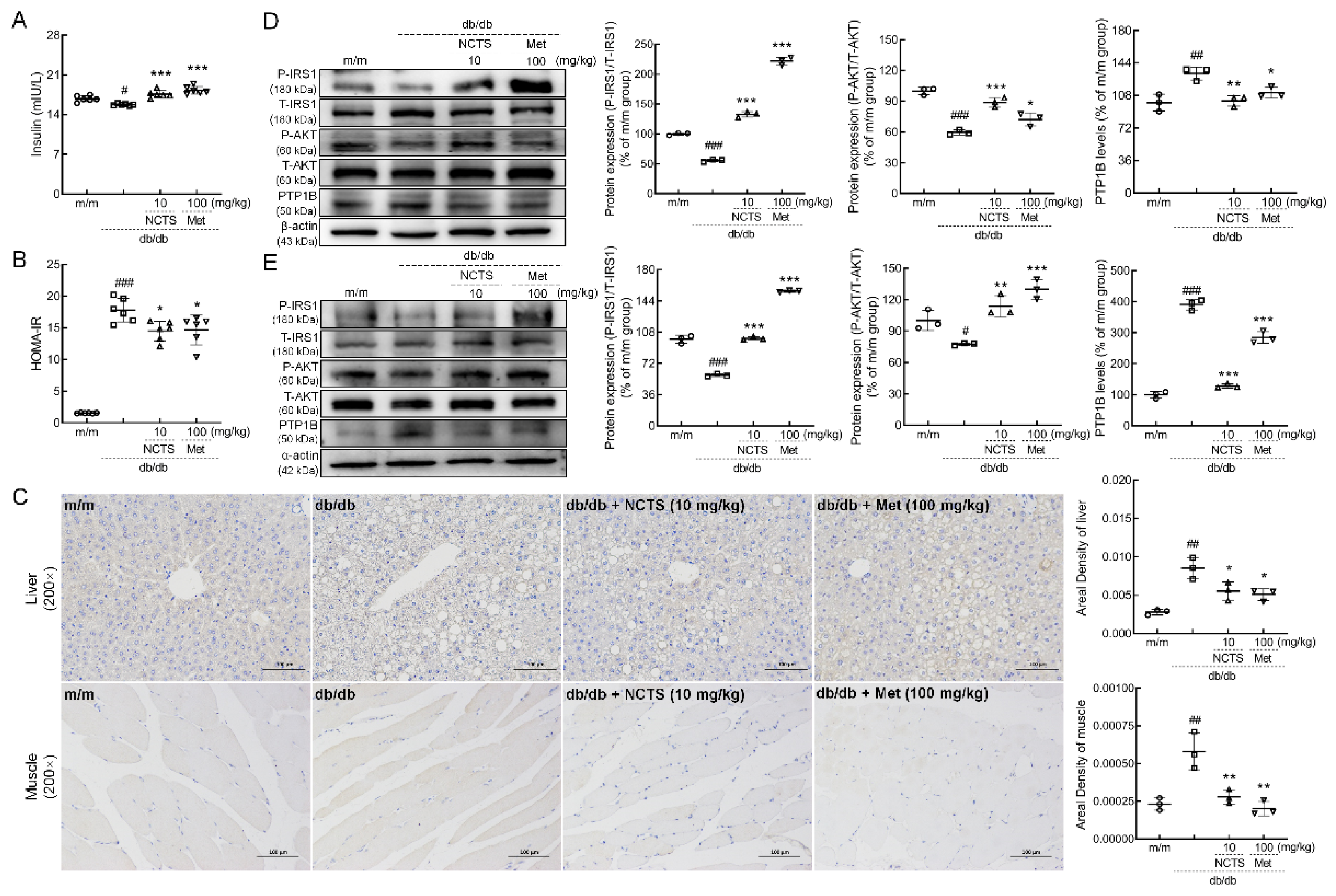 Nutrients 14 03031 g004