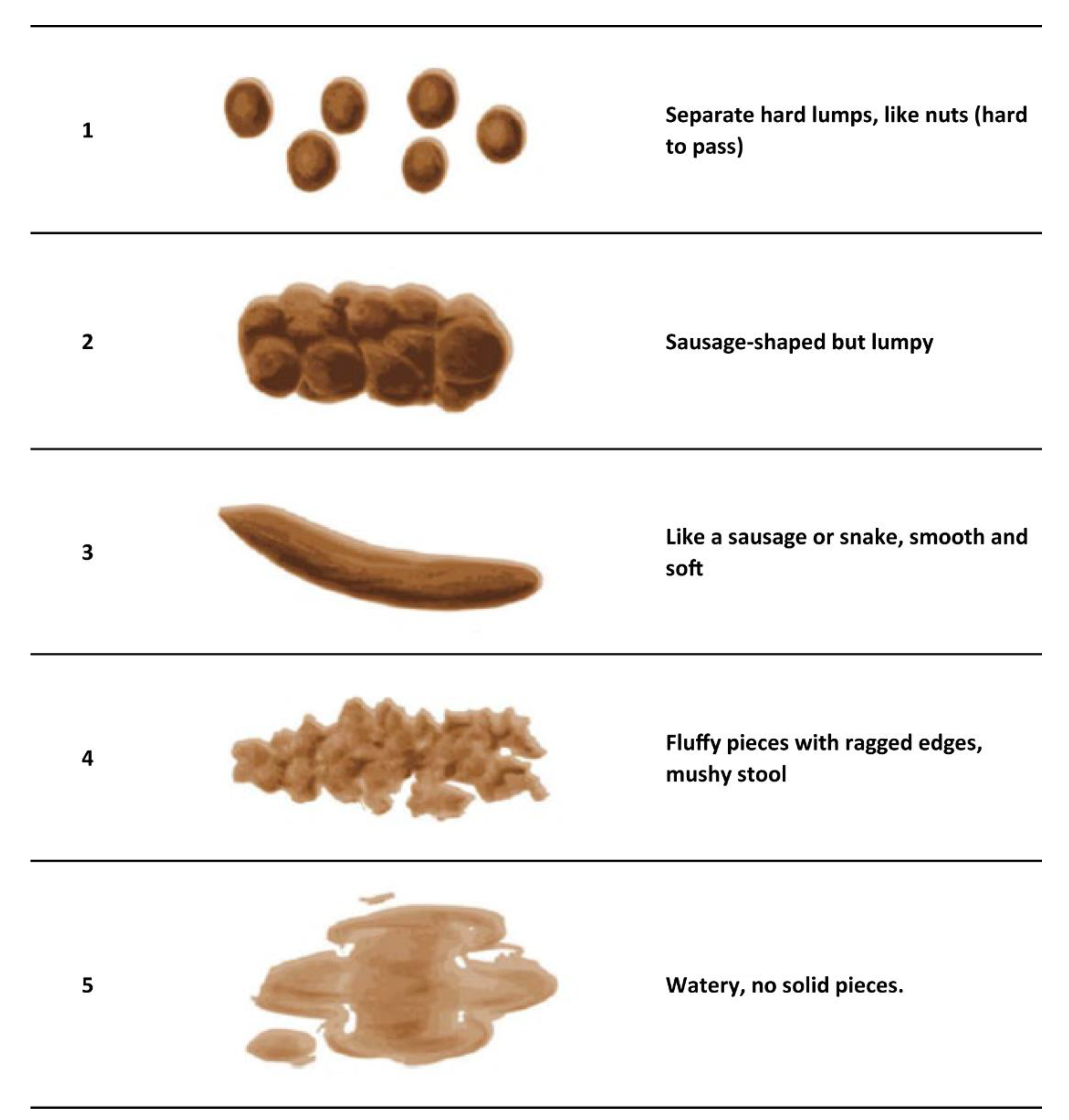Nutrients 14 03036 g001