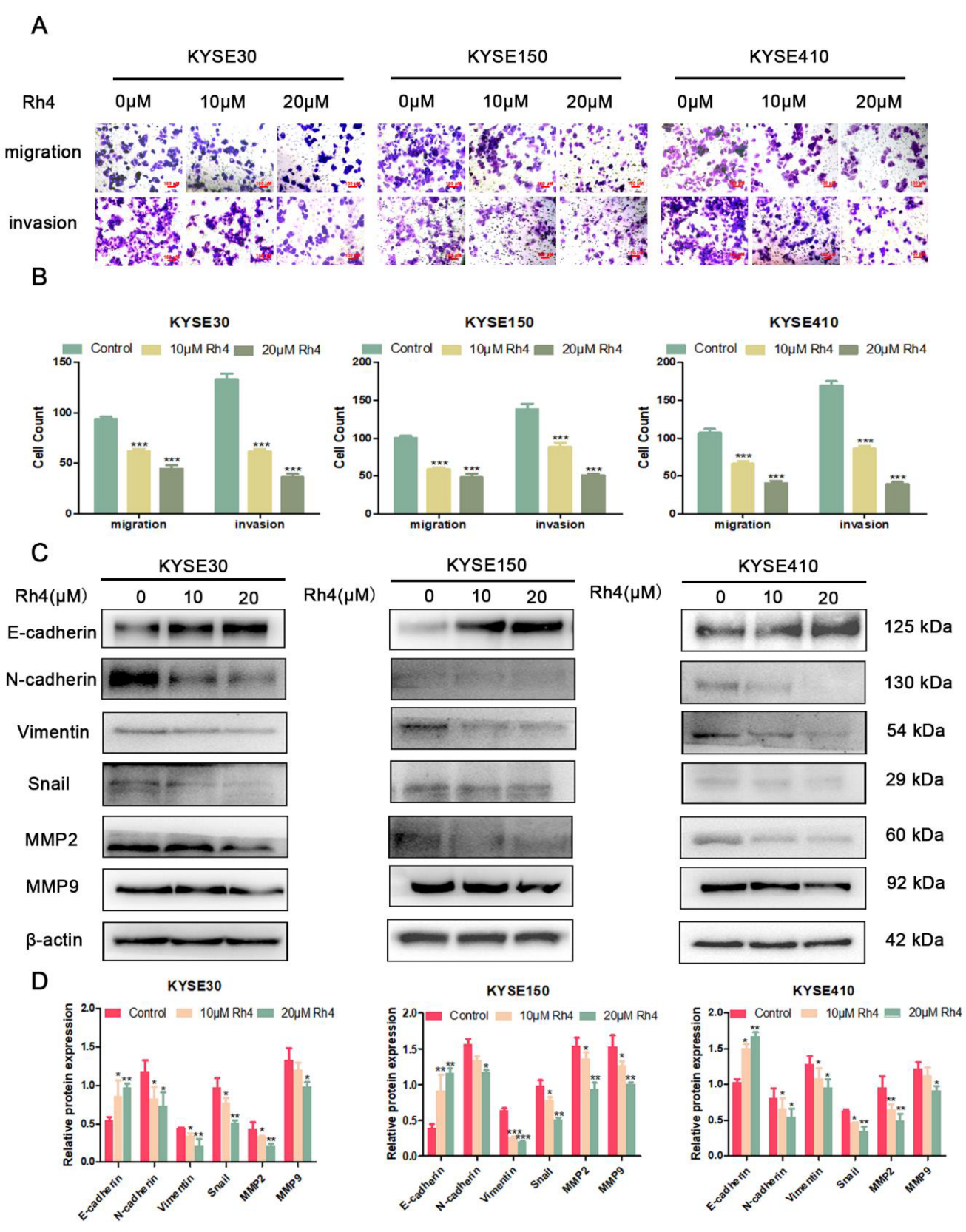Nutrients 14 03042 g002