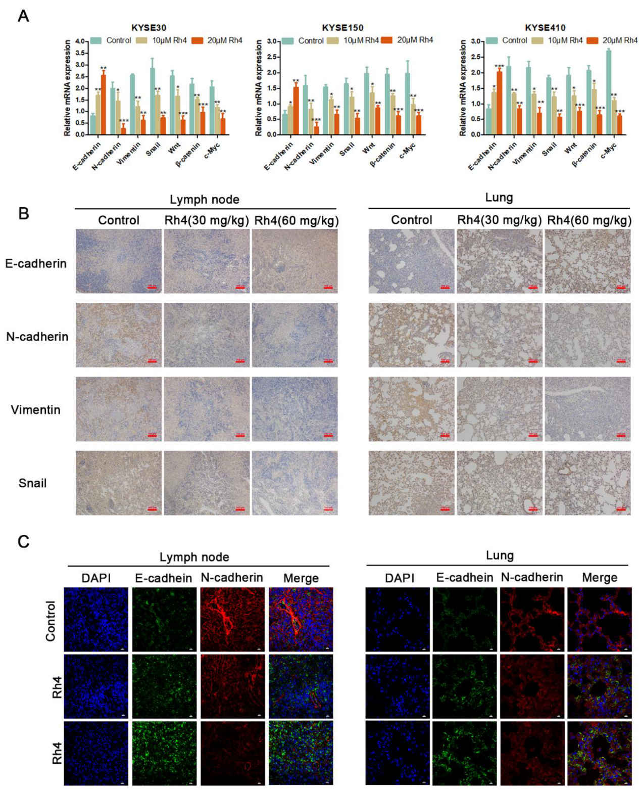 Nutrients 14 03042 g003