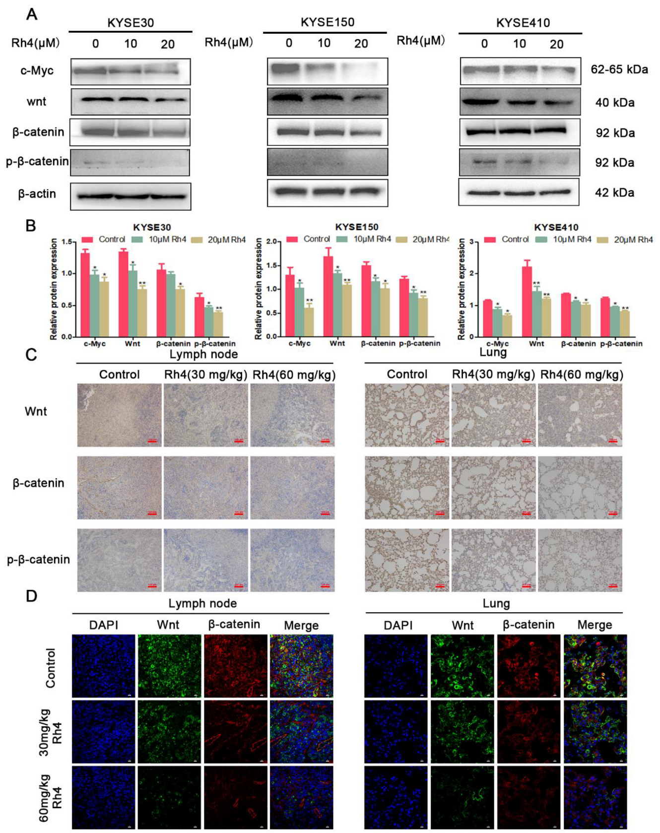 Nutrients 14 03042 g006