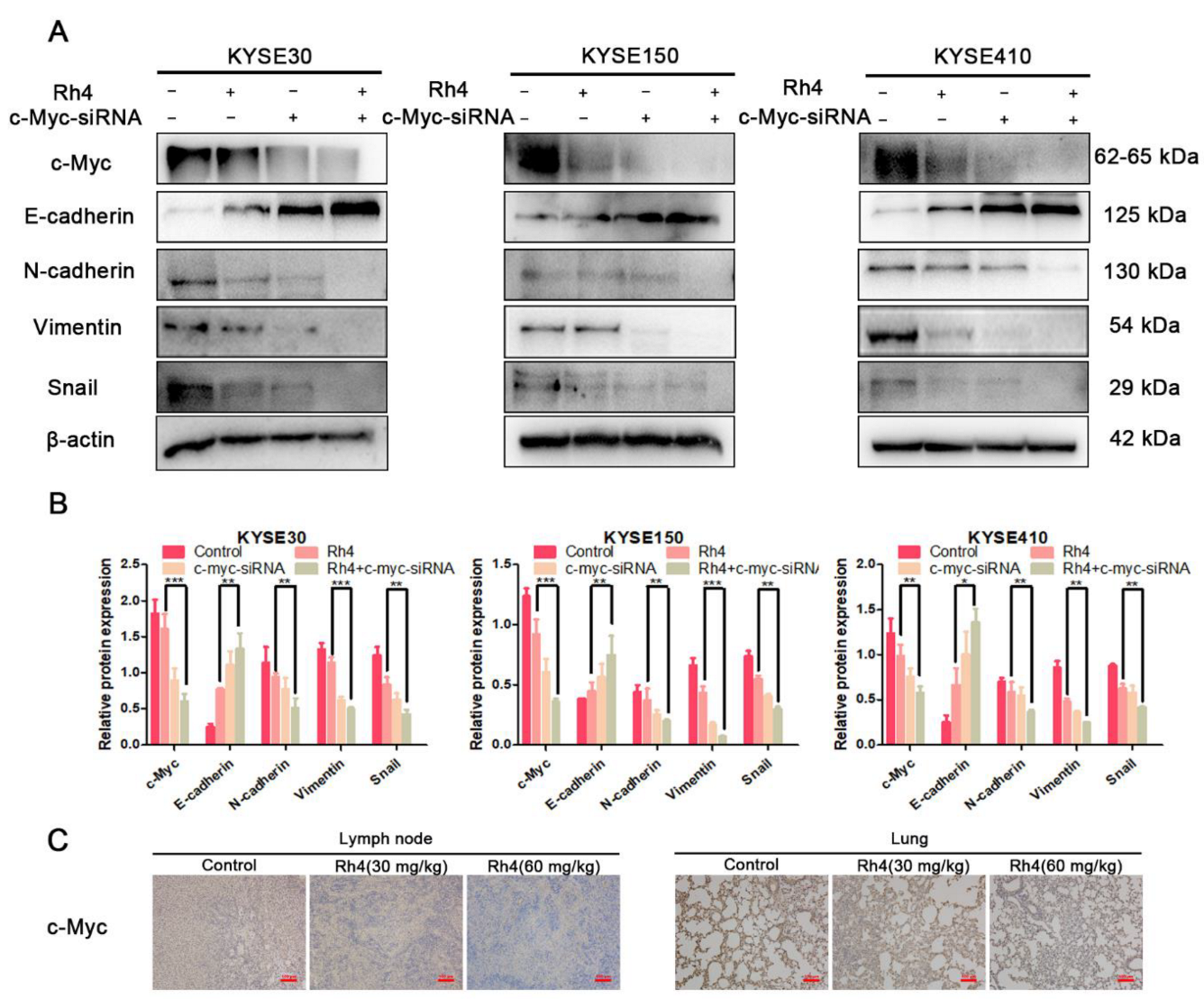 Nutrients 14 03042 g008