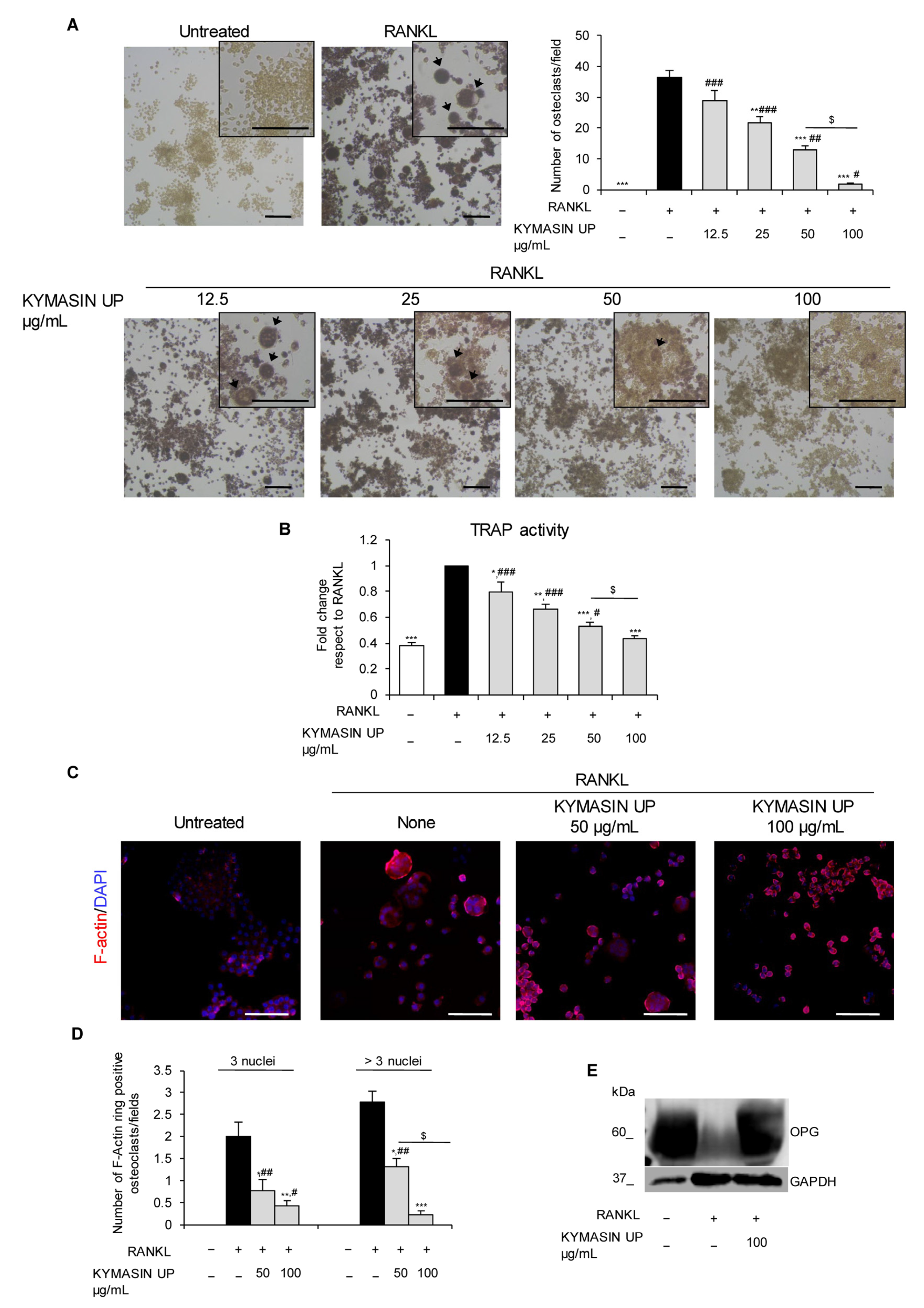 Nutrients 14 03053 g002