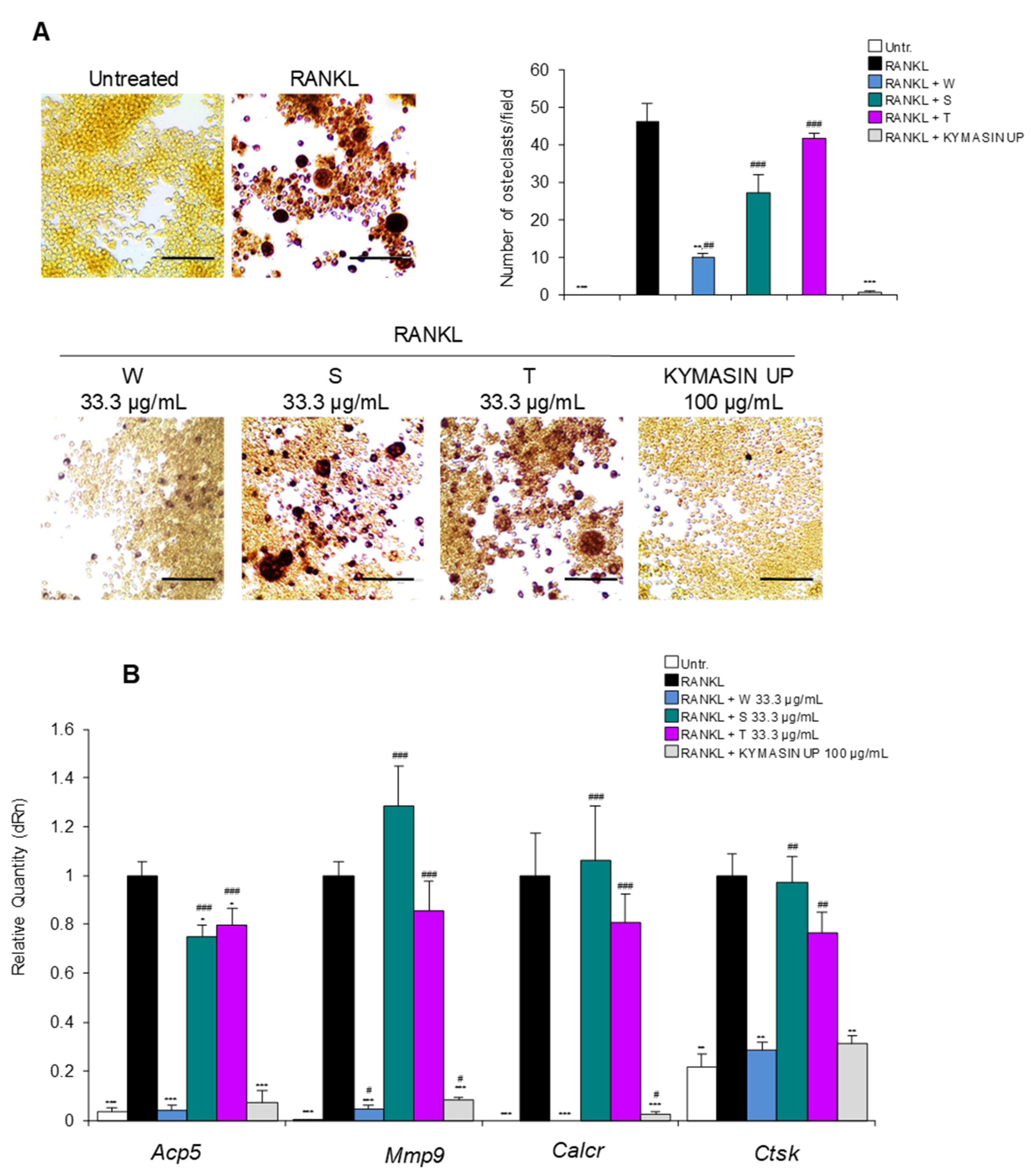 Nutrients 14 03053 g003
