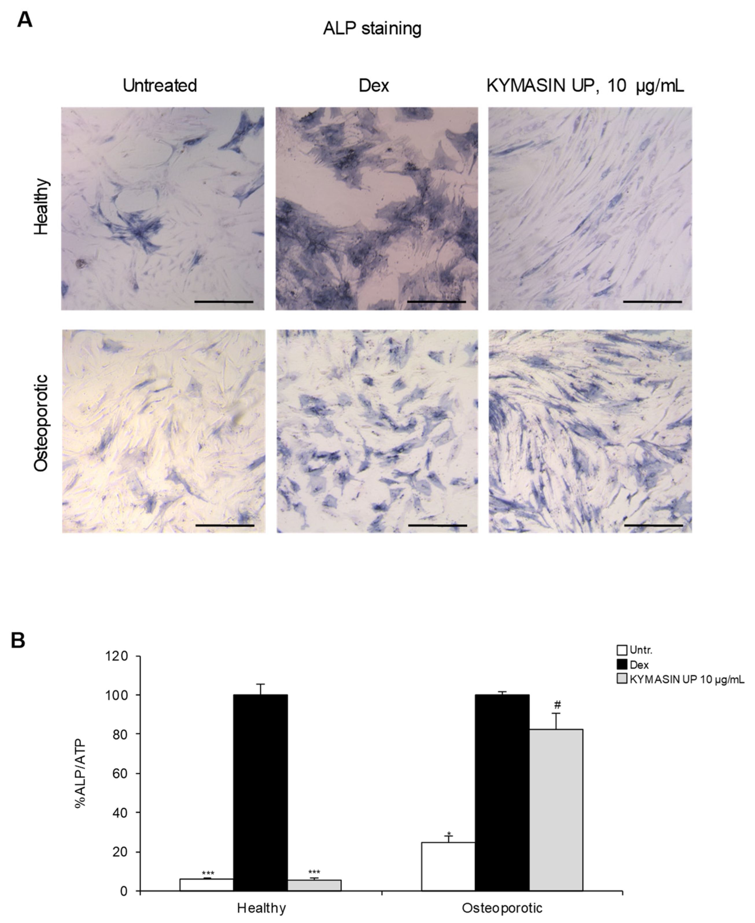 Nutrients 14 03053 g006