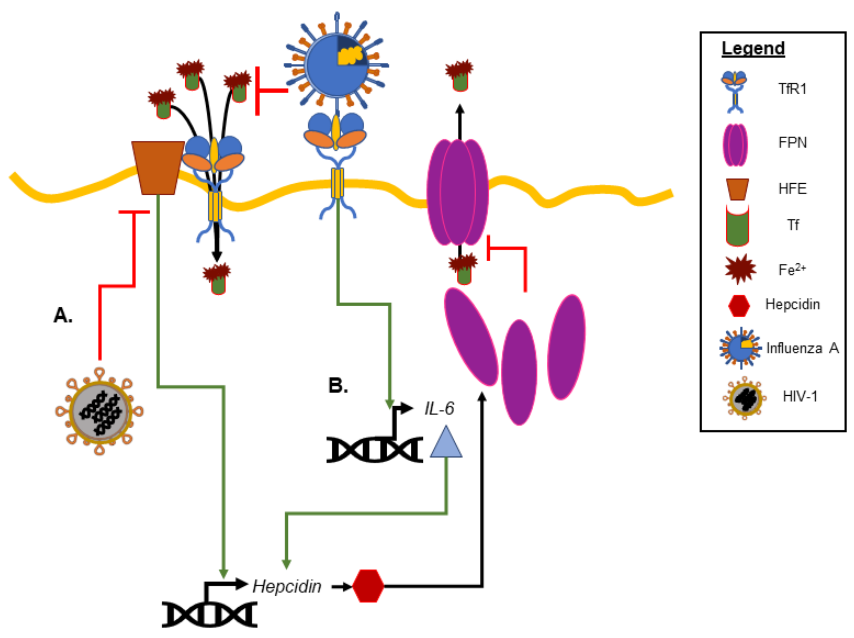 Nutrients 14 03090 g001